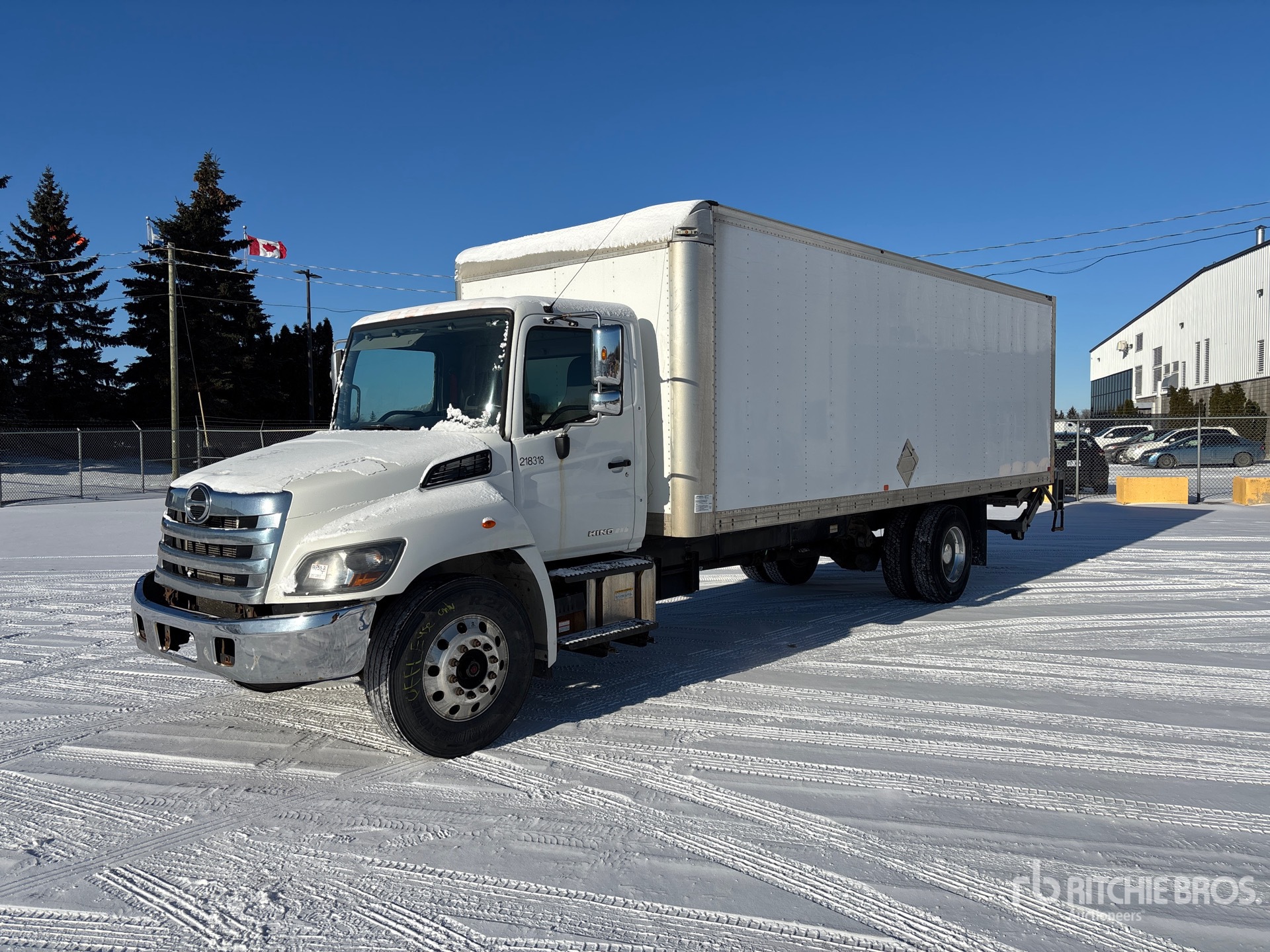 General Appearance with Spin