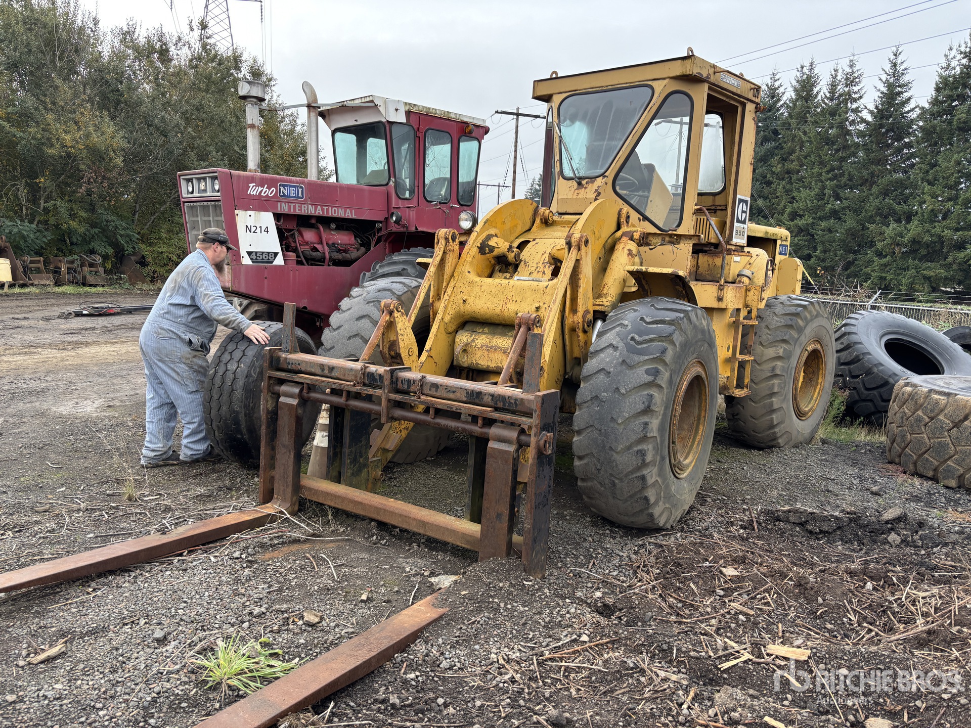 General Appearance with