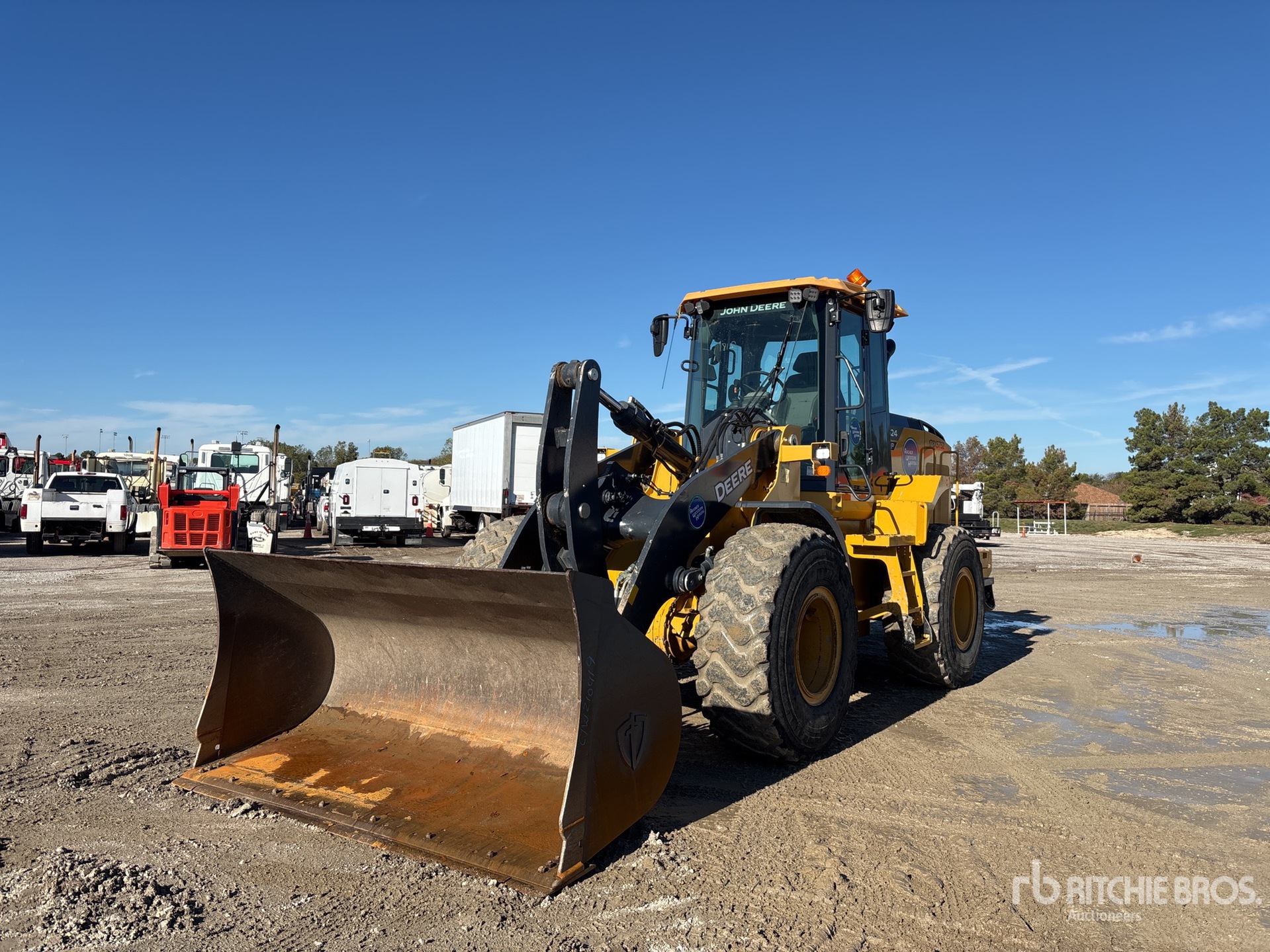 General Appearance with Spin