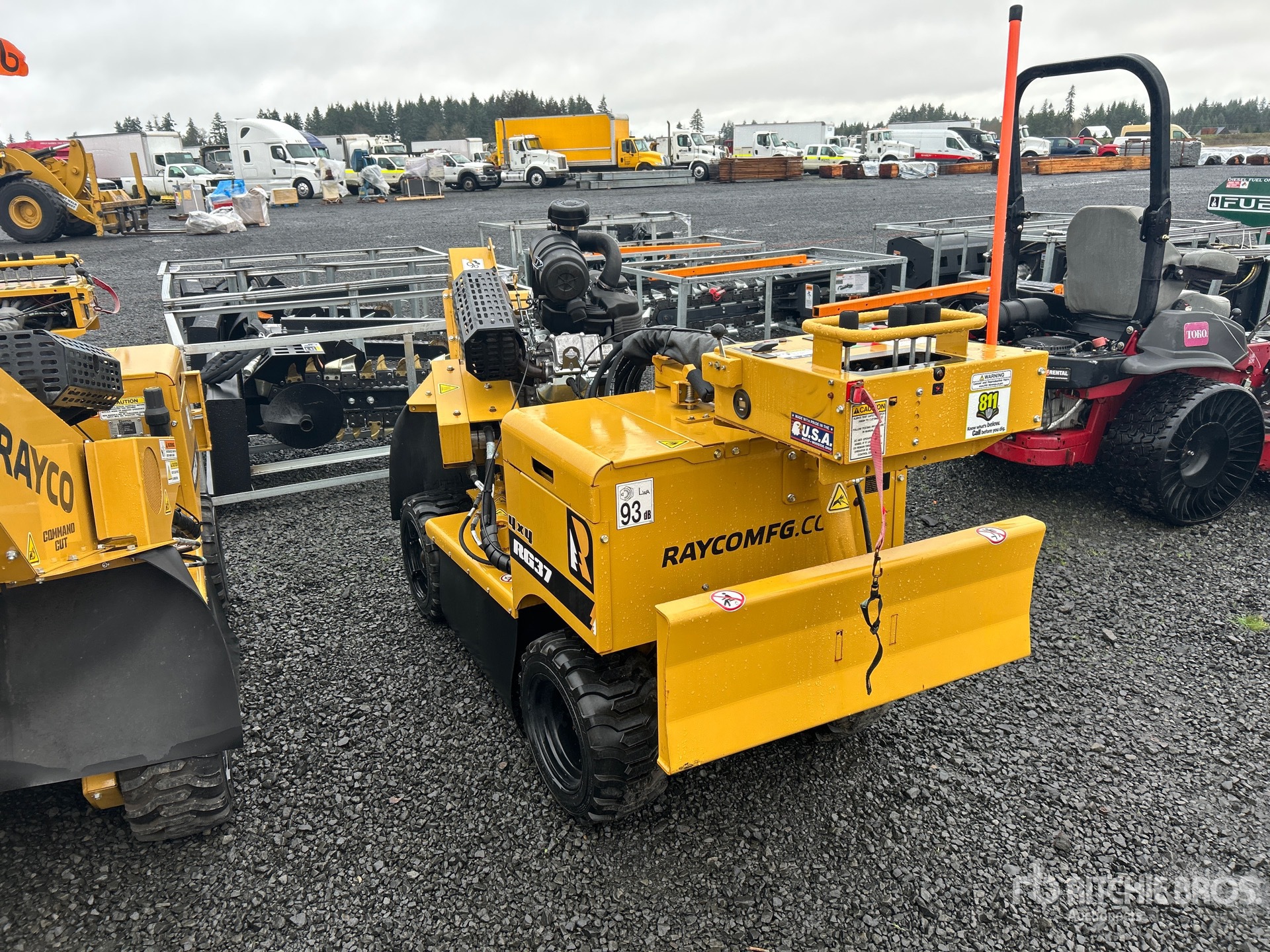 General Appearance with Zdjęcie, lewy dolny róg