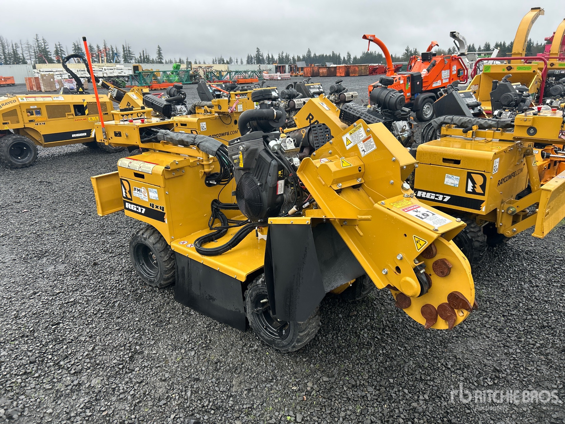 General Appearance with Zdjęcie, prawy górny róg