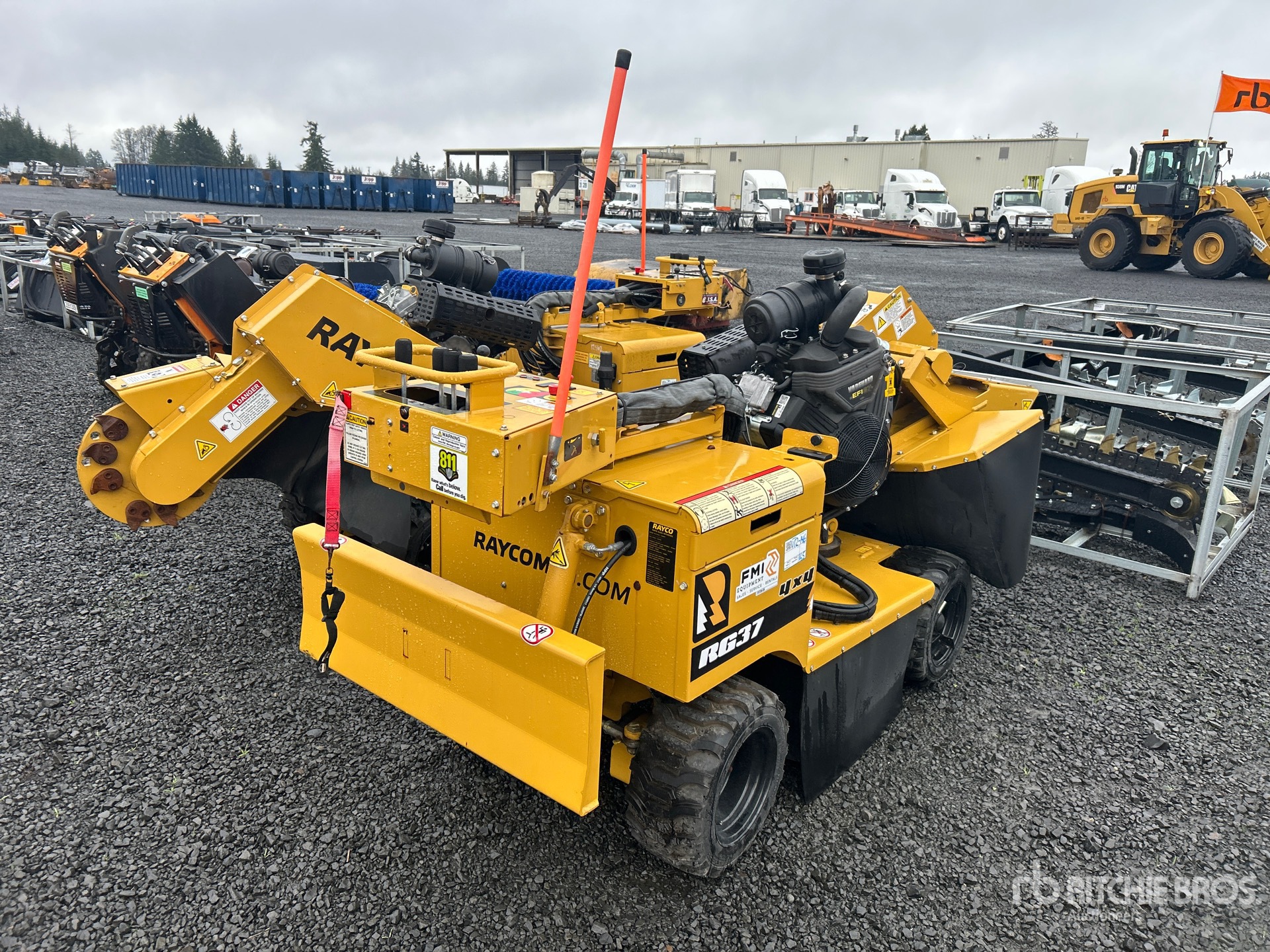 General Appearance with Zdjęcie, prawy dolny róg