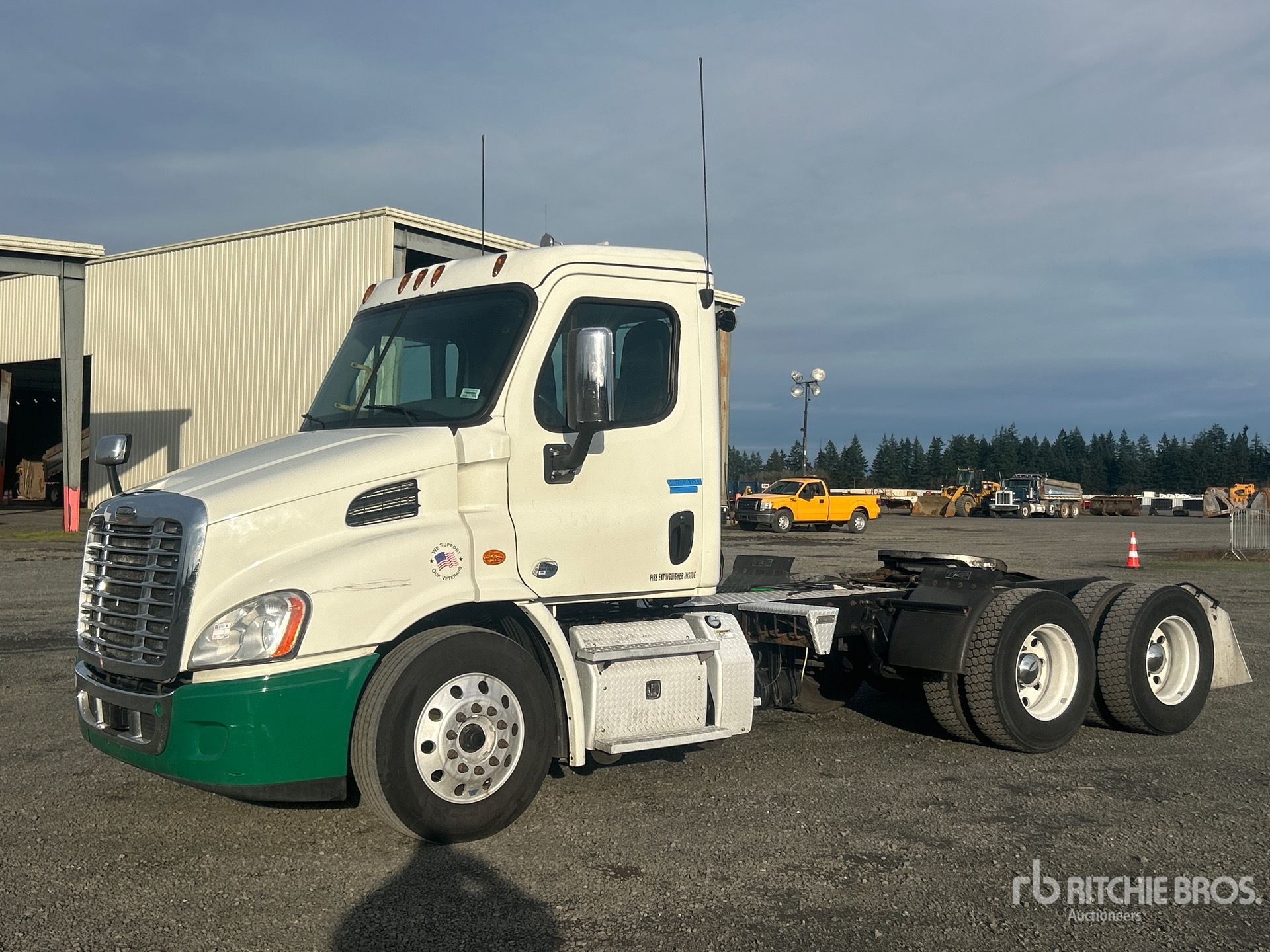 General Appearance with Spin