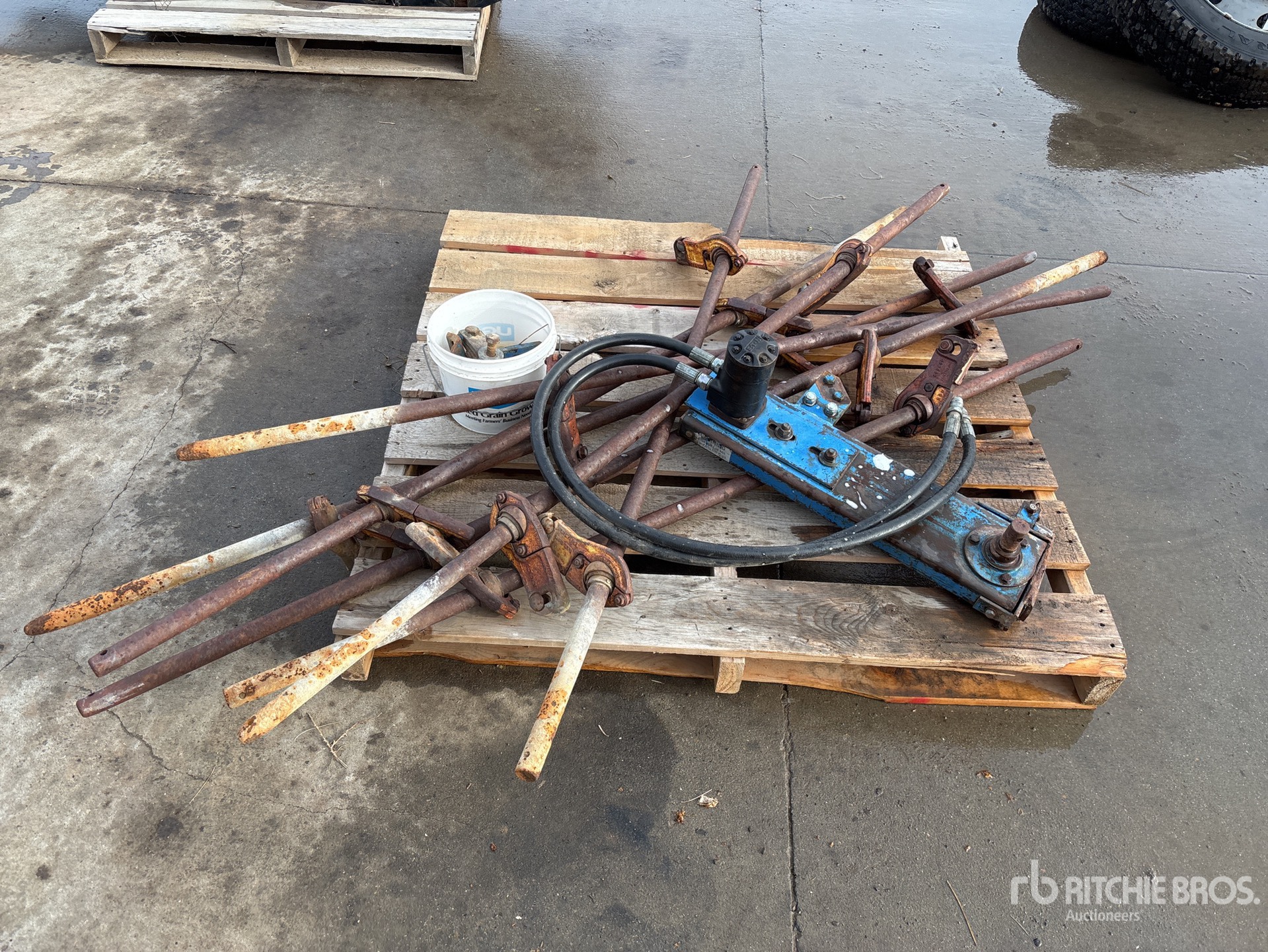 General Appearance with 