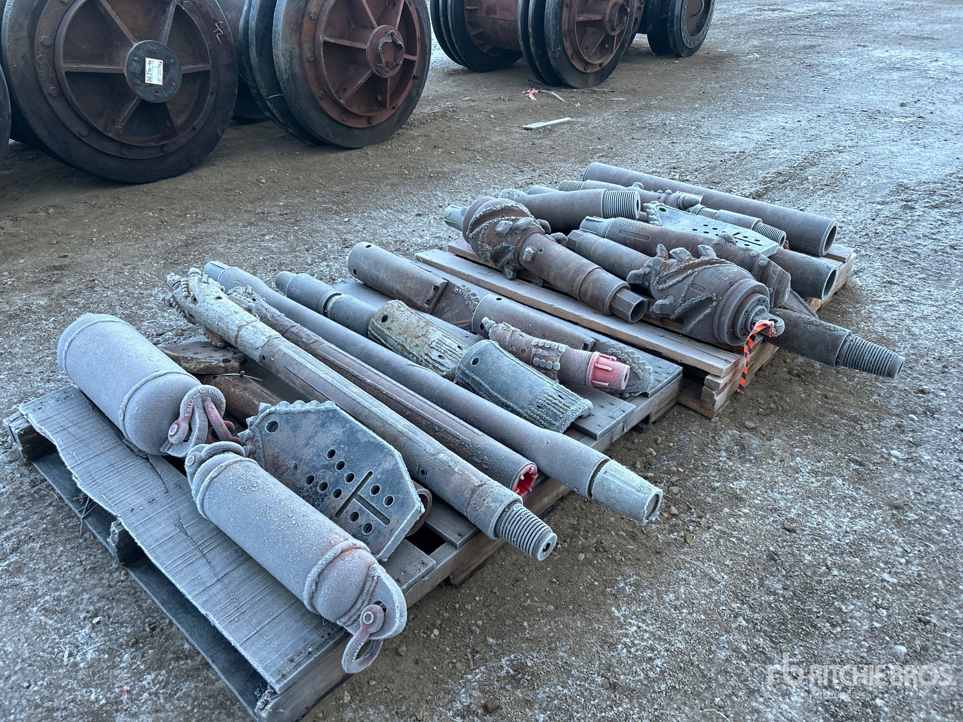 General Appearance with Image, coin arrière droit