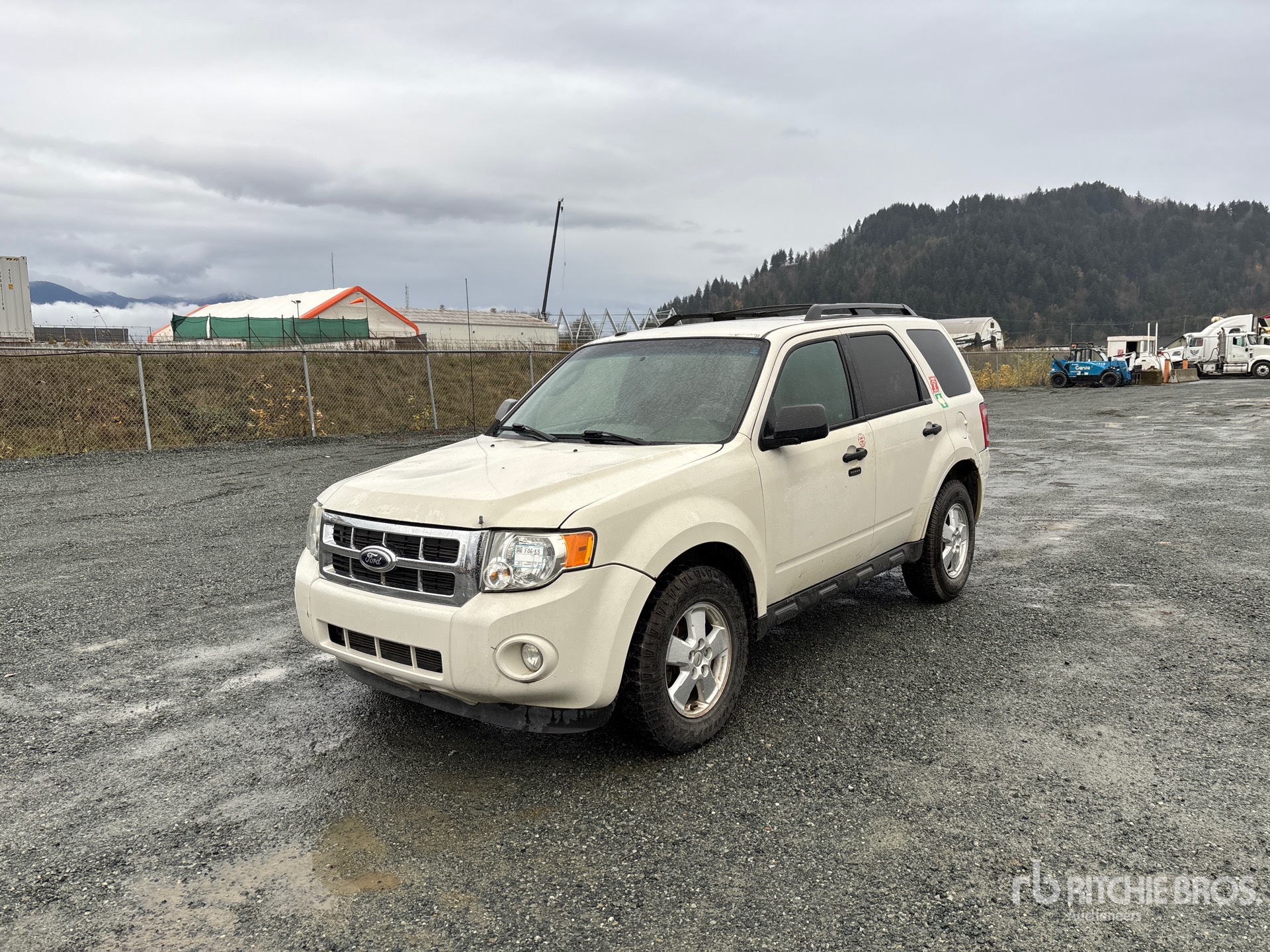 General Appearance with Spin