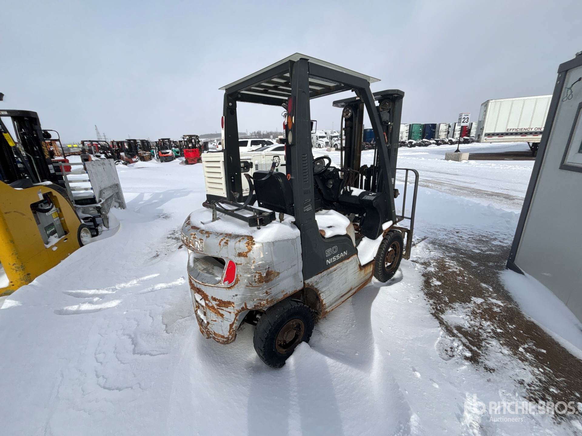 General Appearance with Zdjęcie, lewy dolny róg