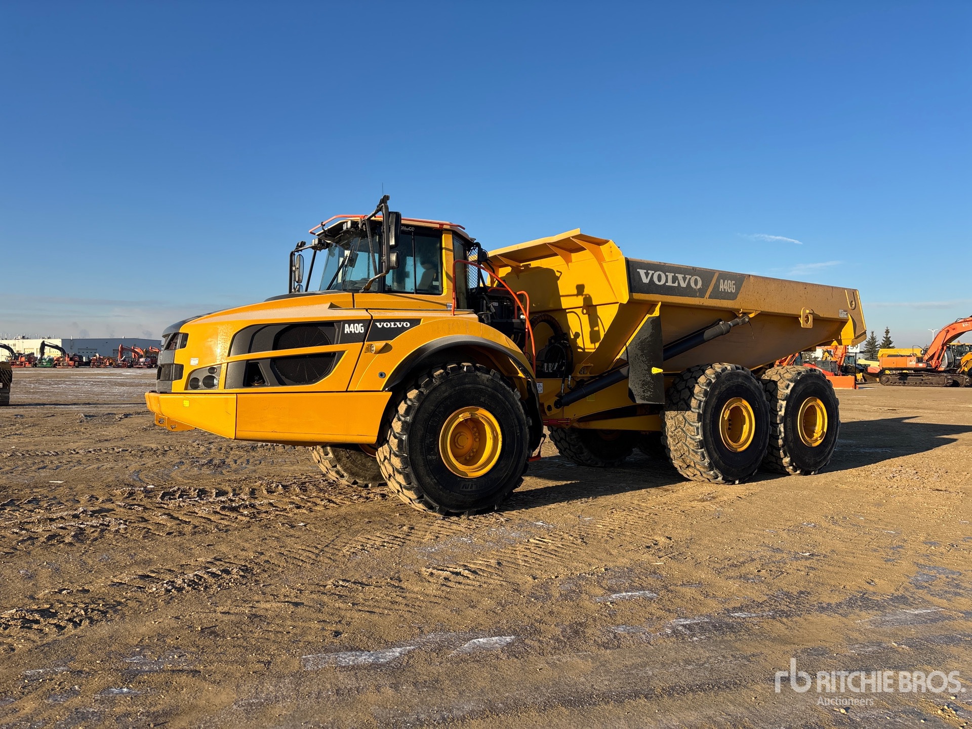 General Appearance with Spin