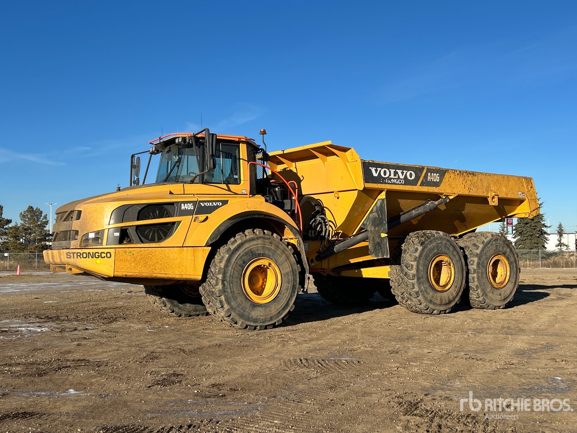 General Appearance with Spin