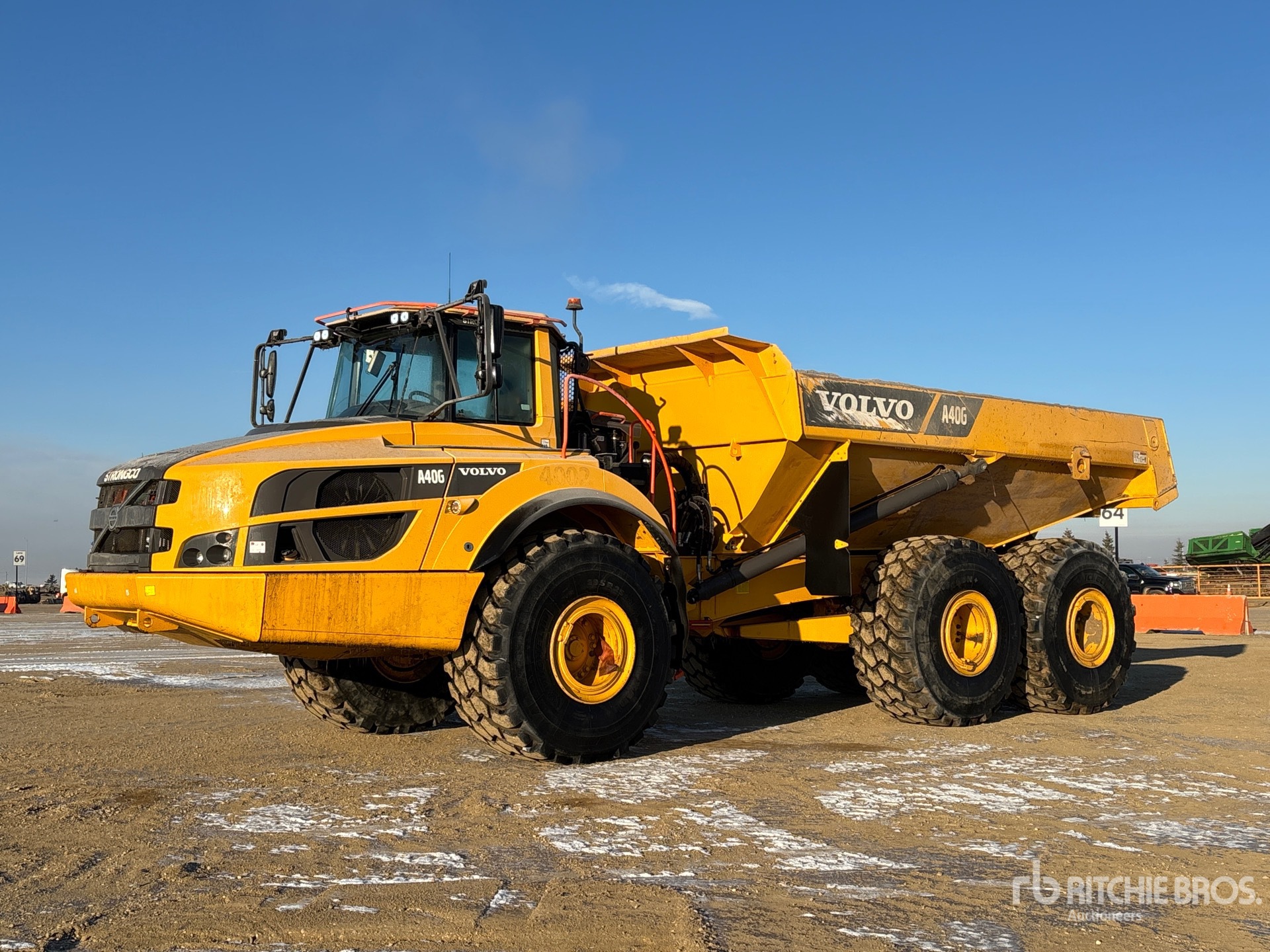 General Appearance with Spin