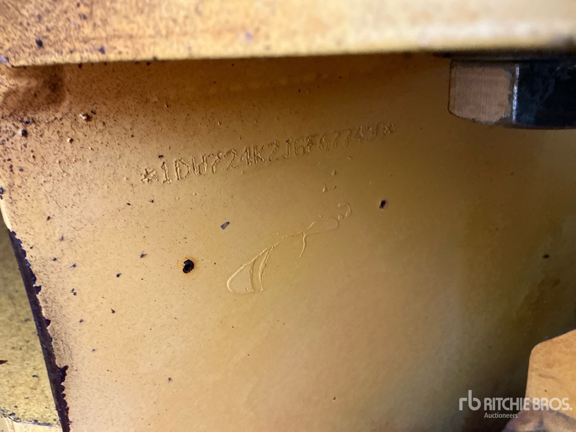 General Appearance with Spin