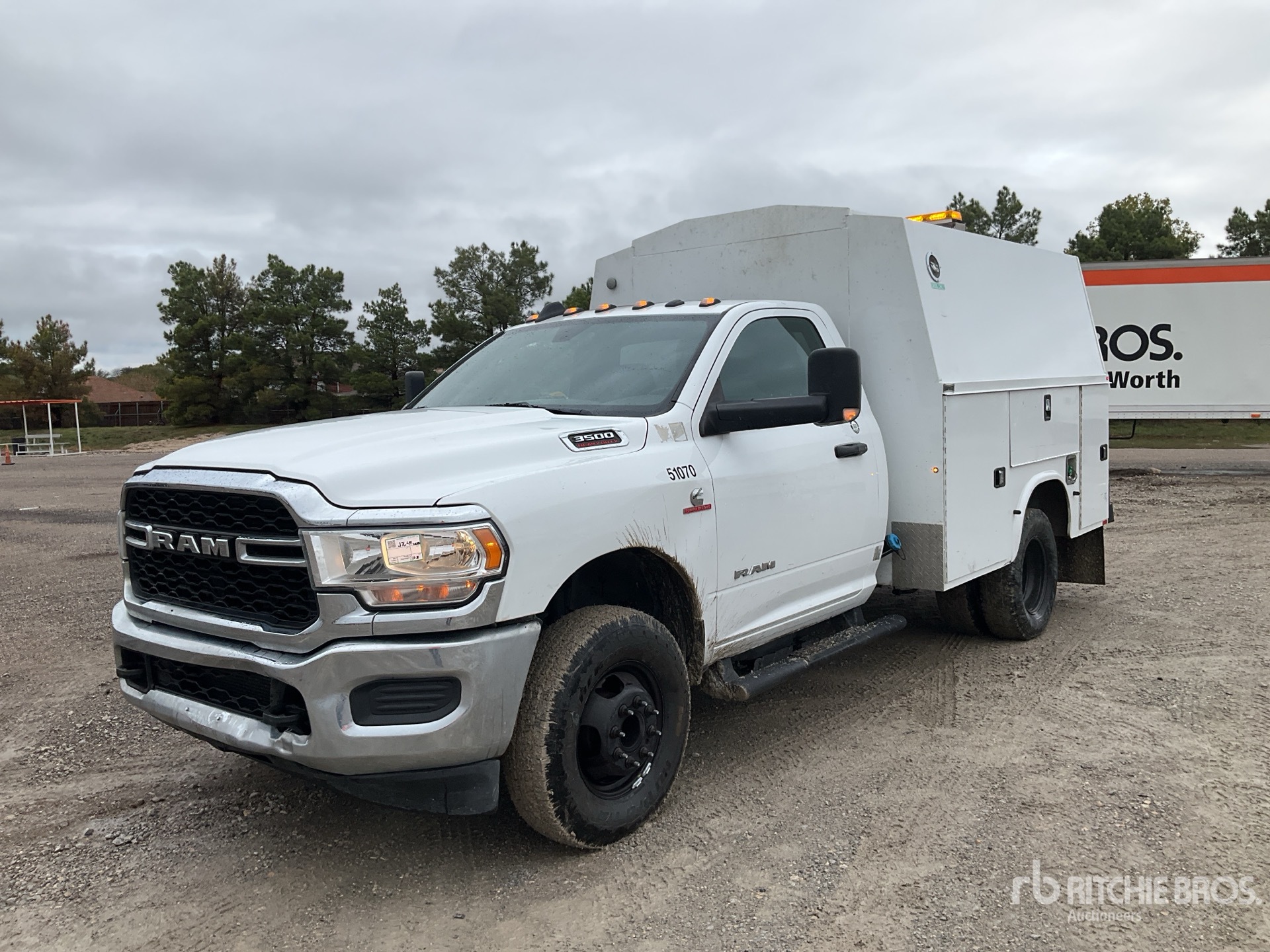 General Appearance with Spin