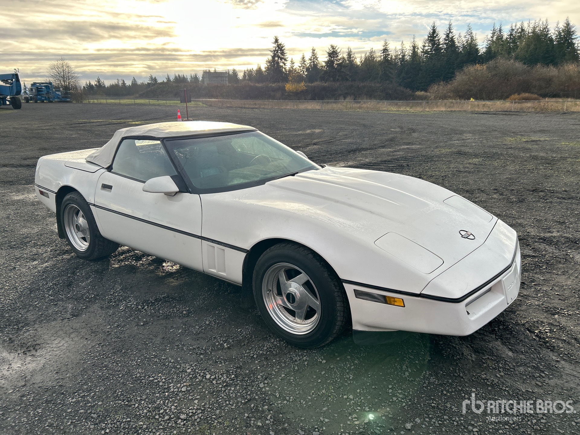 General Appearance with Picture, Right Front Corner