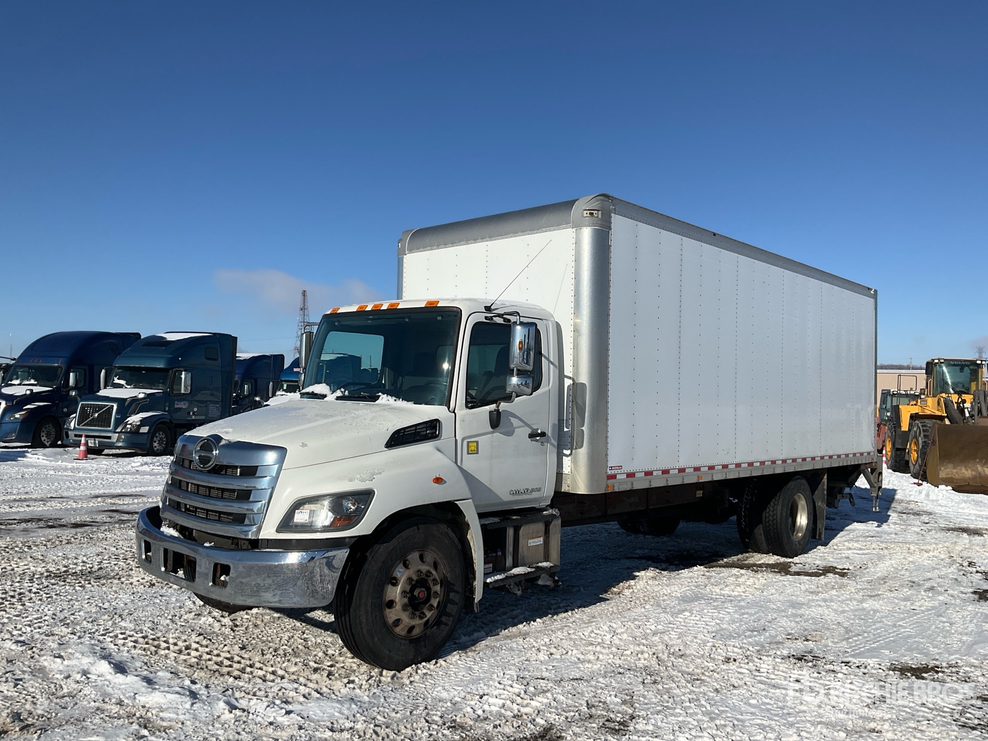 General Appearance with Spin