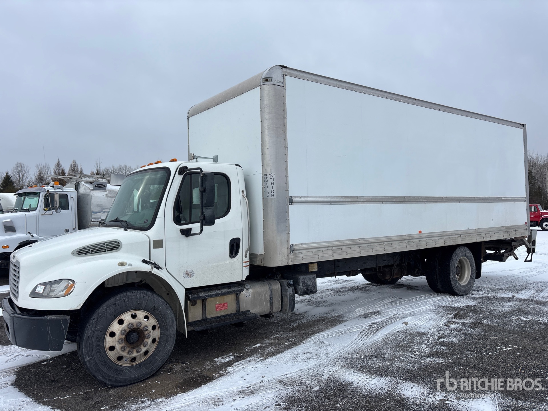 General Appearance with Spin