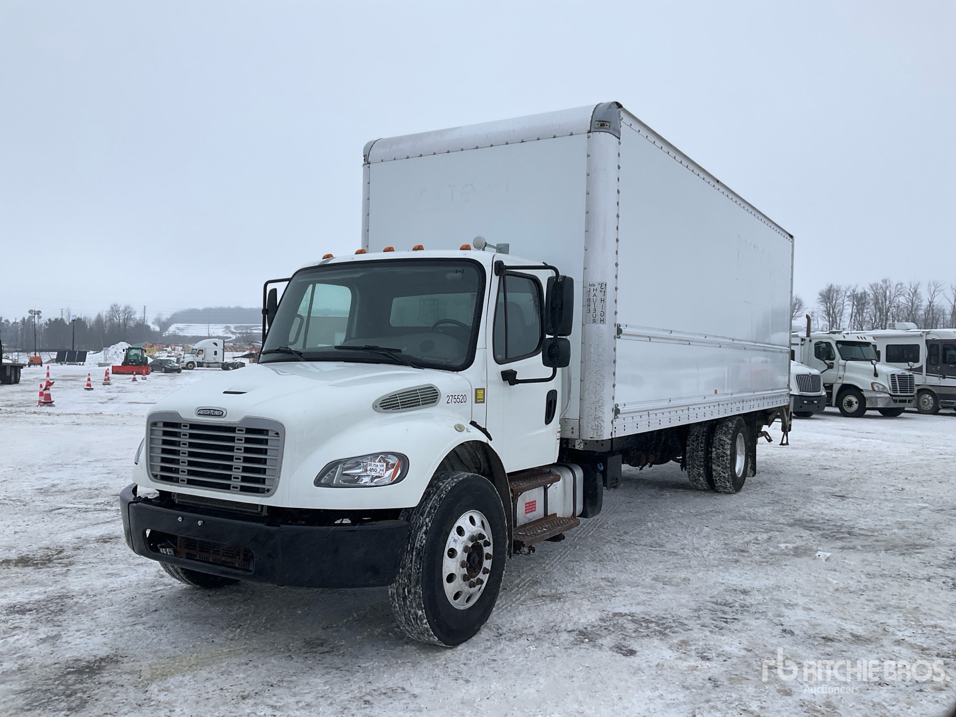 General Appearance with Spin