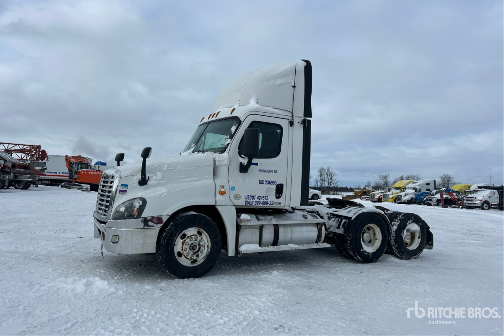 General Appearance with Bild, Ecke vorne links