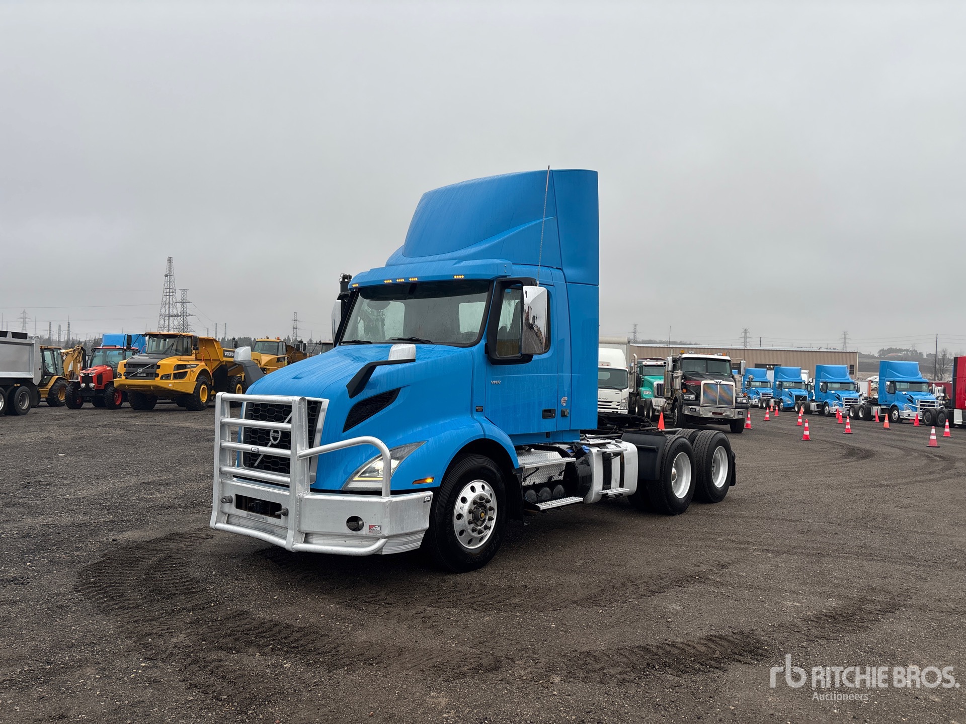 General Appearance with Spin