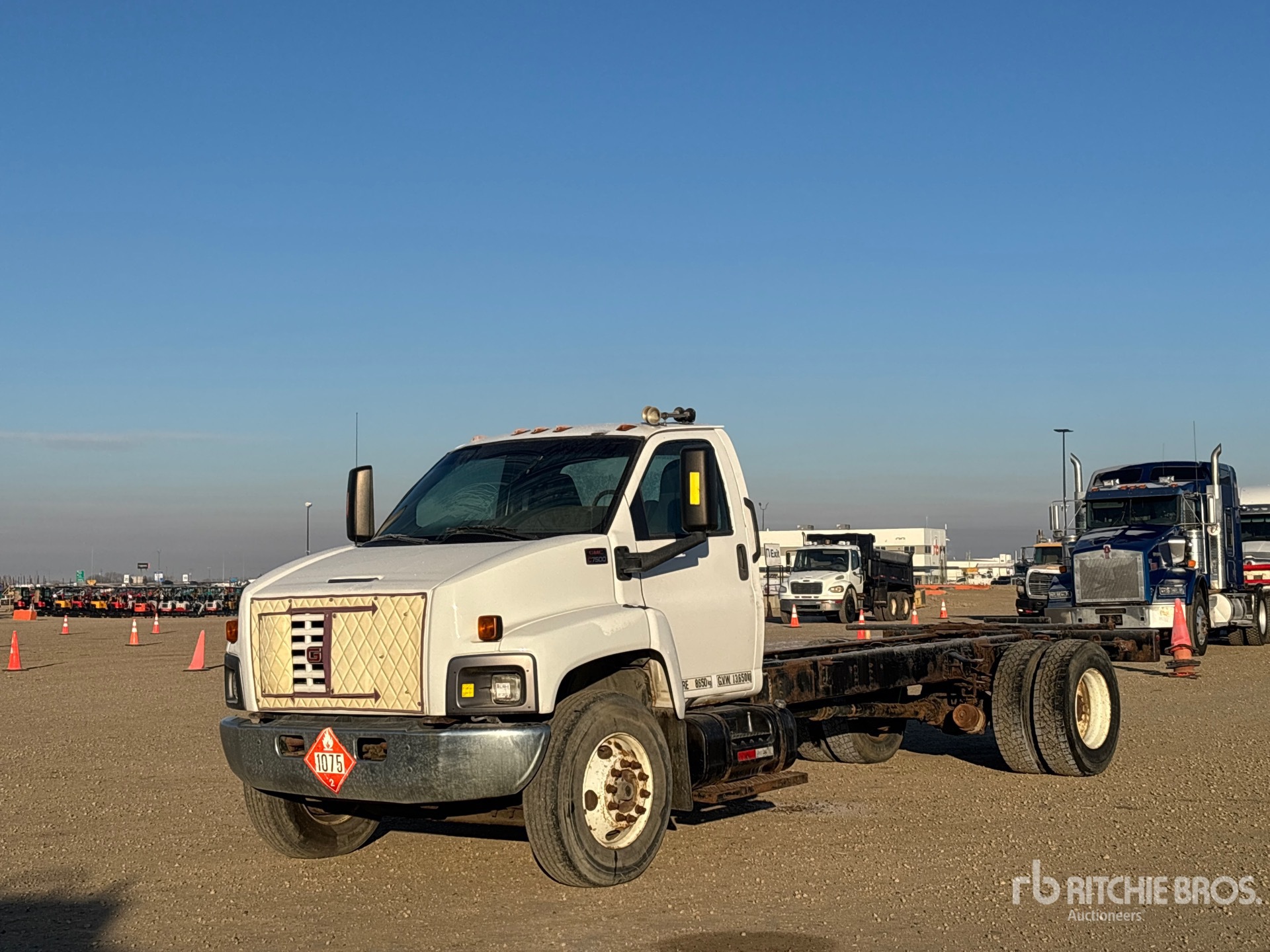 General Appearance with Spin