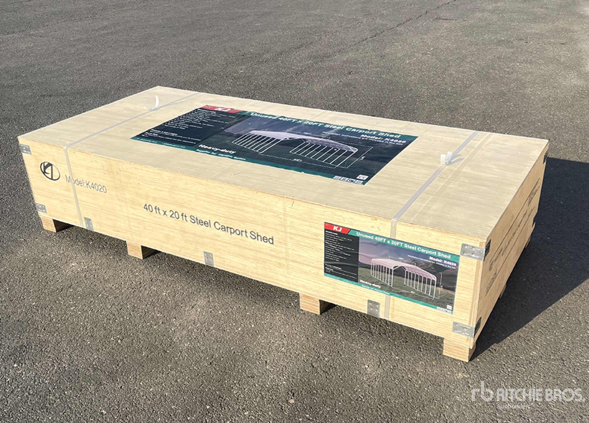 General Appearance with 