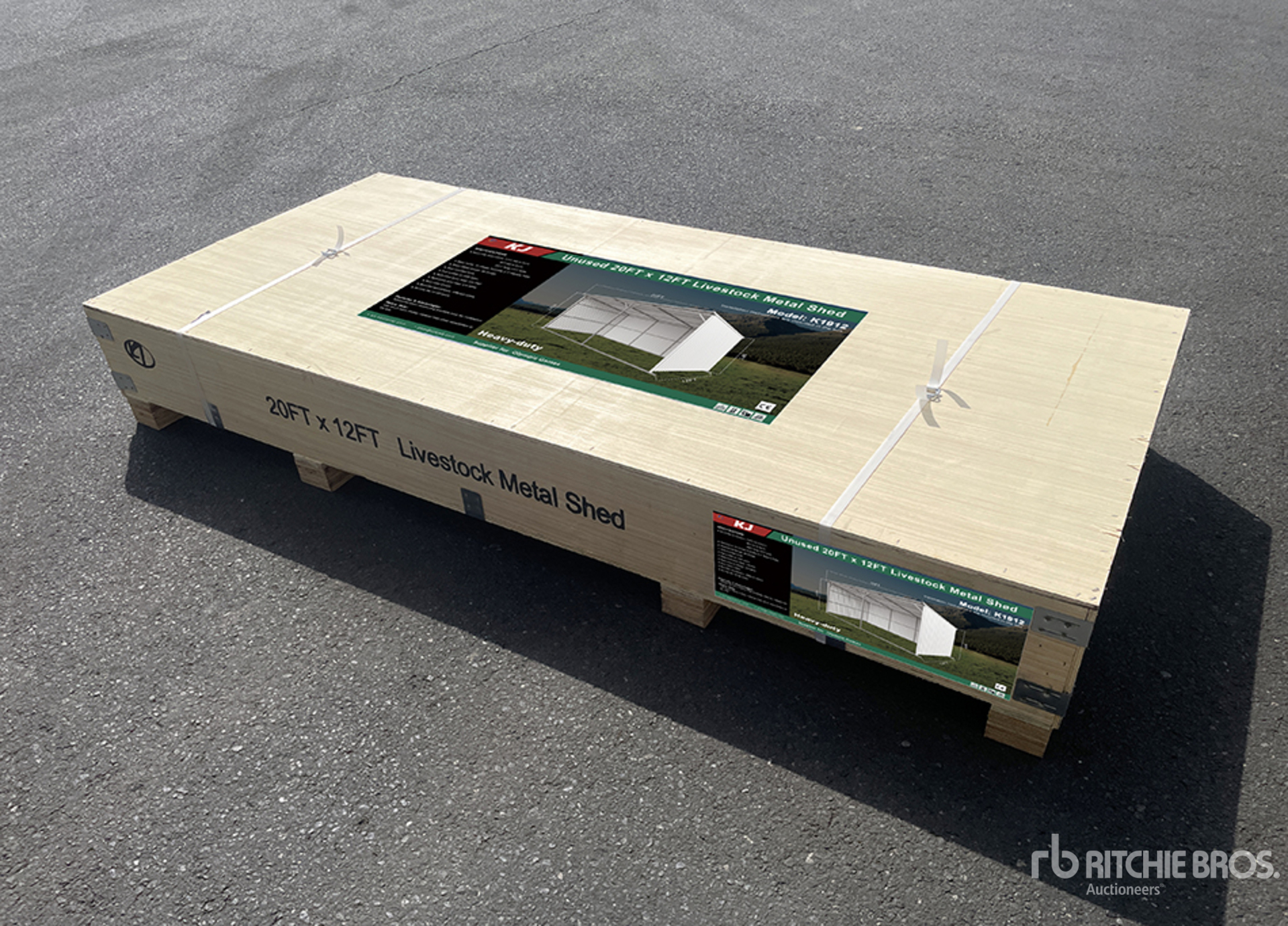 General Appearance with 