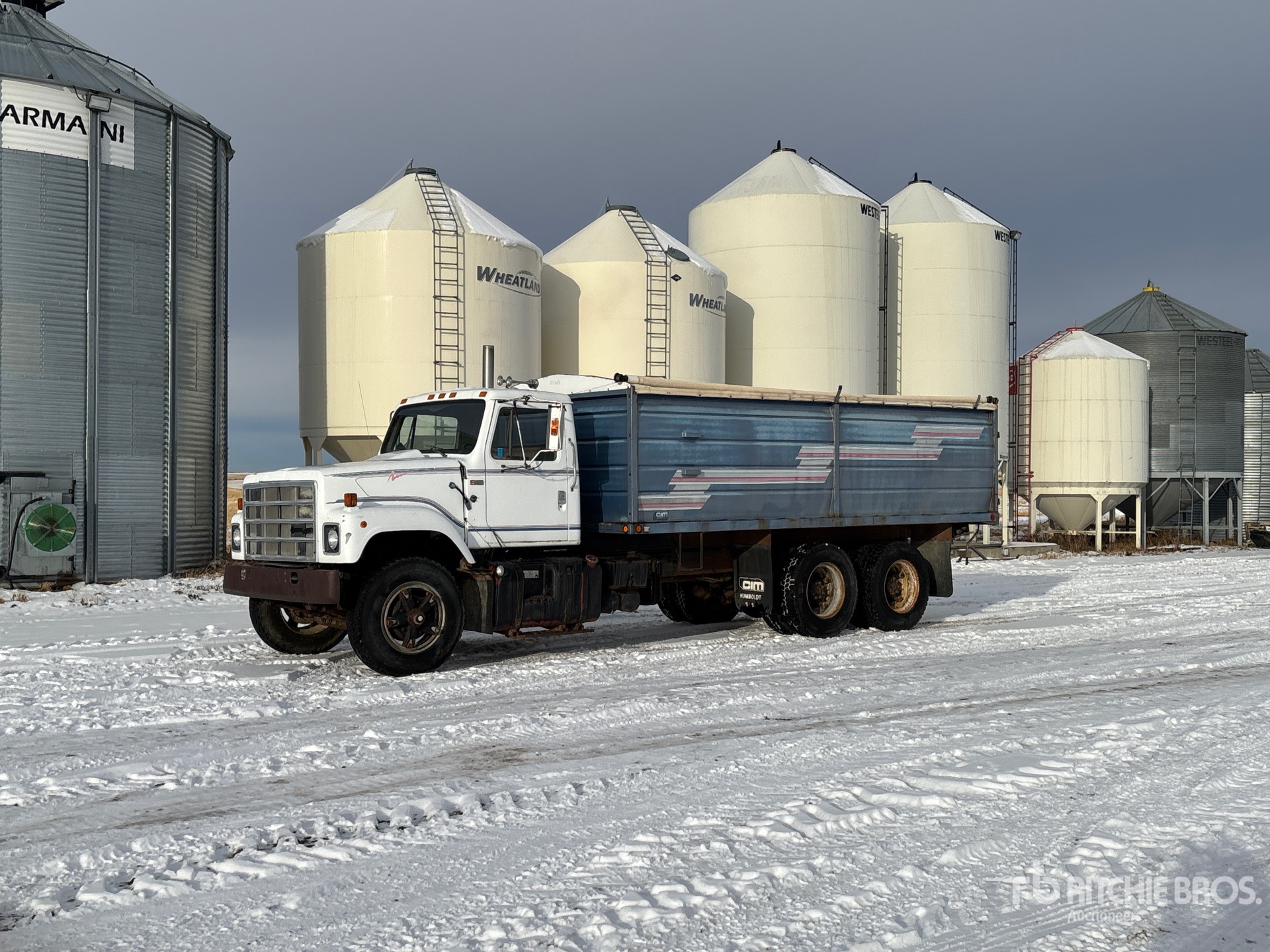 General Appearance with Spin