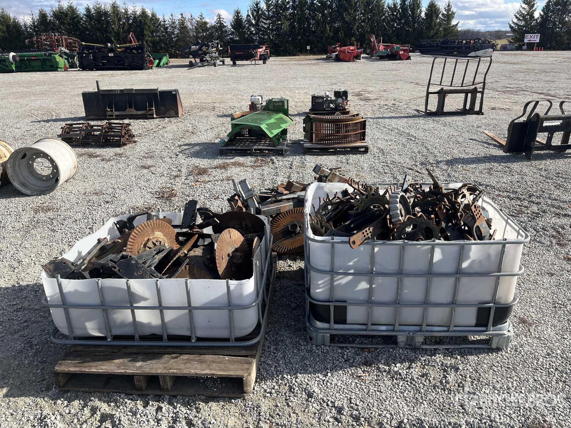 General Appearance with 