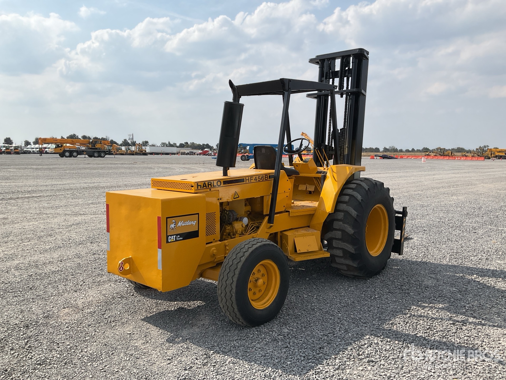 General Appearance with Zdjęcie, prawy dolny róg