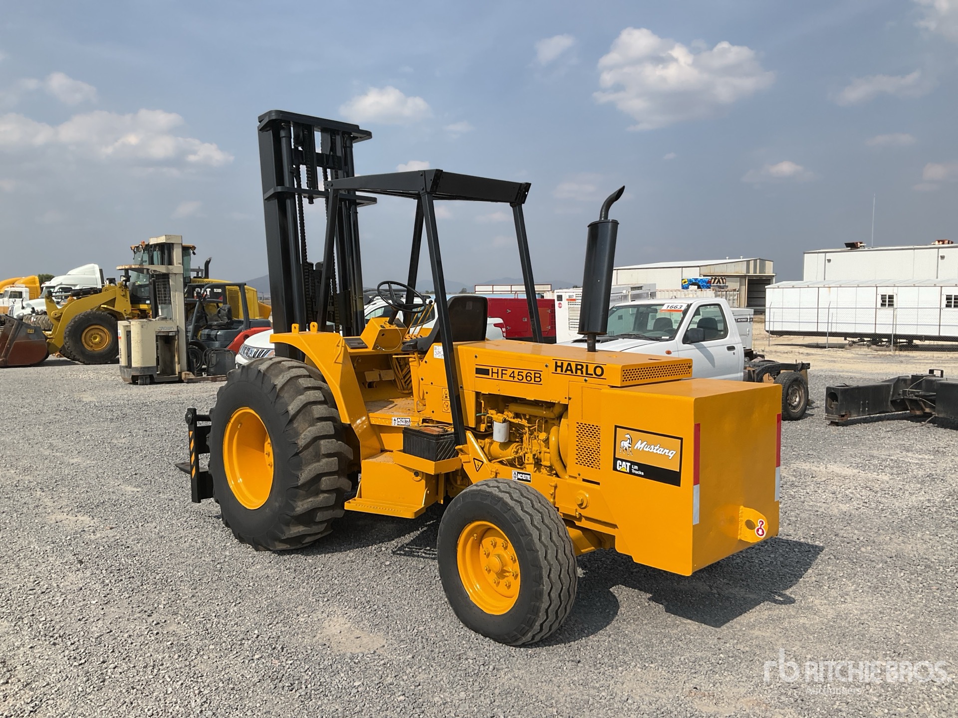 General Appearance with Zdjęcie, lewy dolny róg