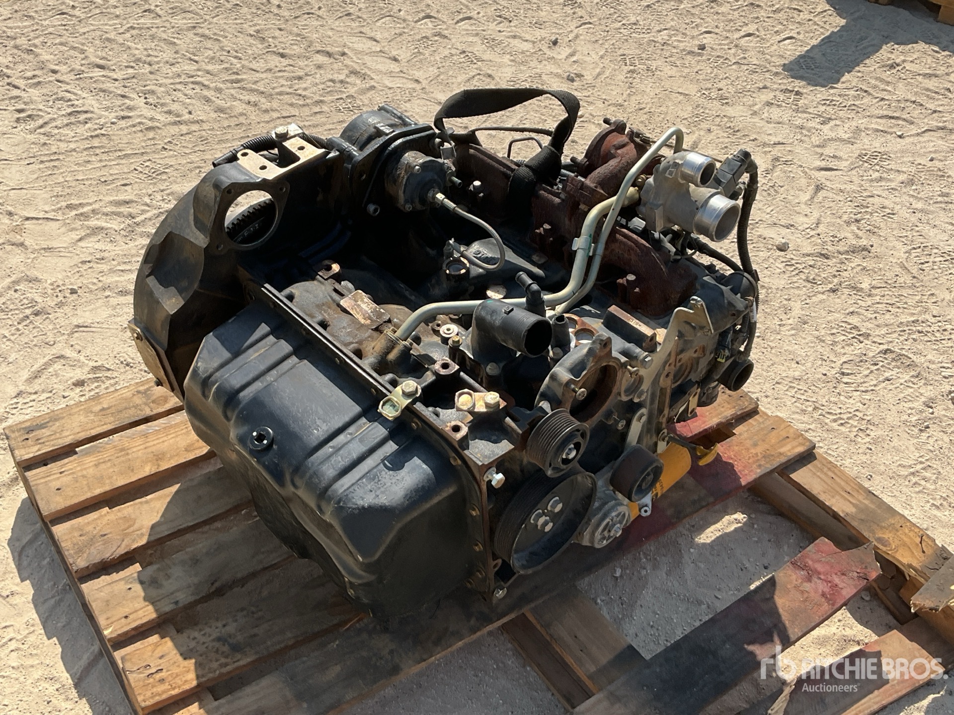 General Appearance with Image, coin arrière droit