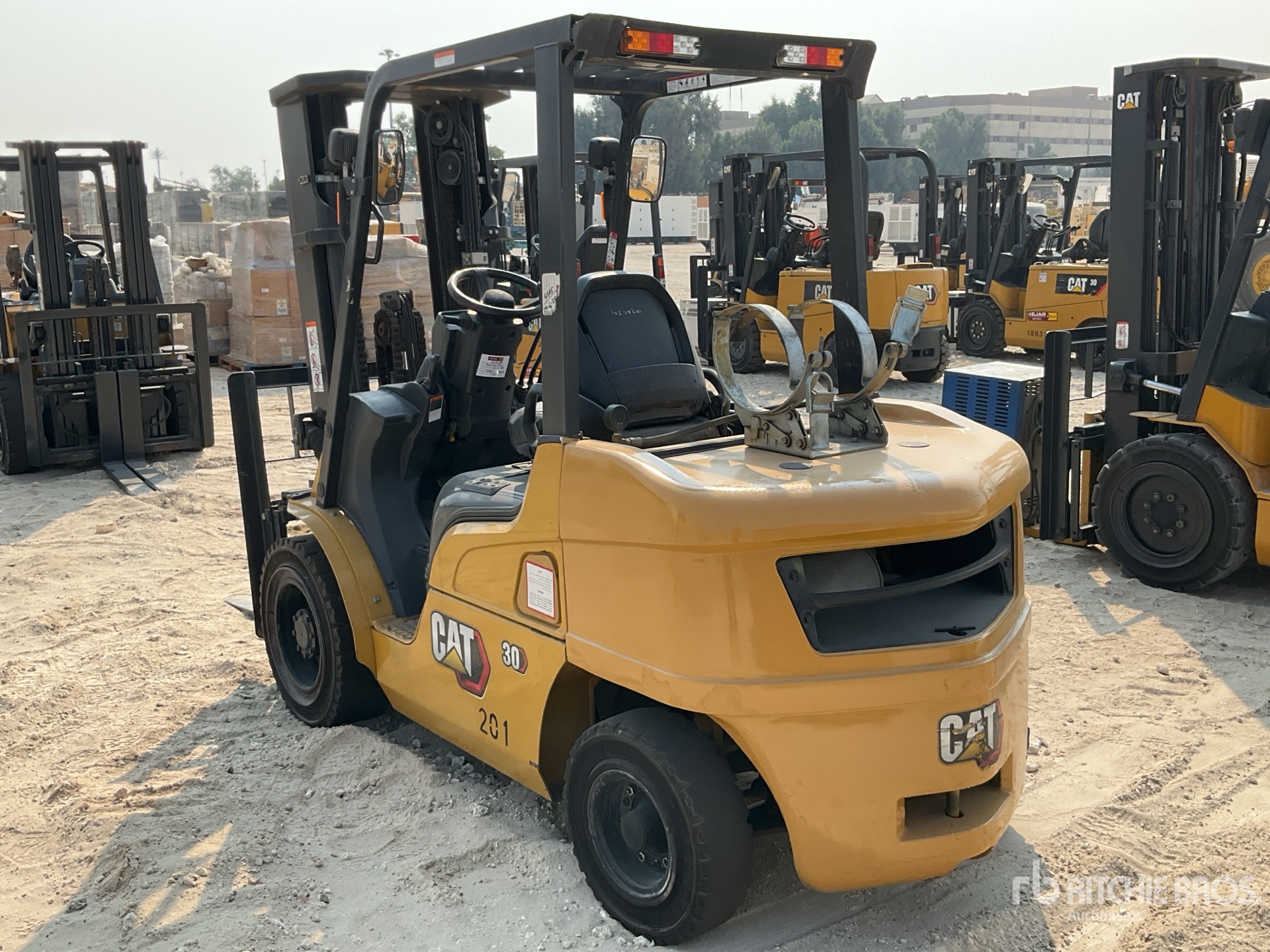 General Appearance with Zdjęcie, lewy dolny róg