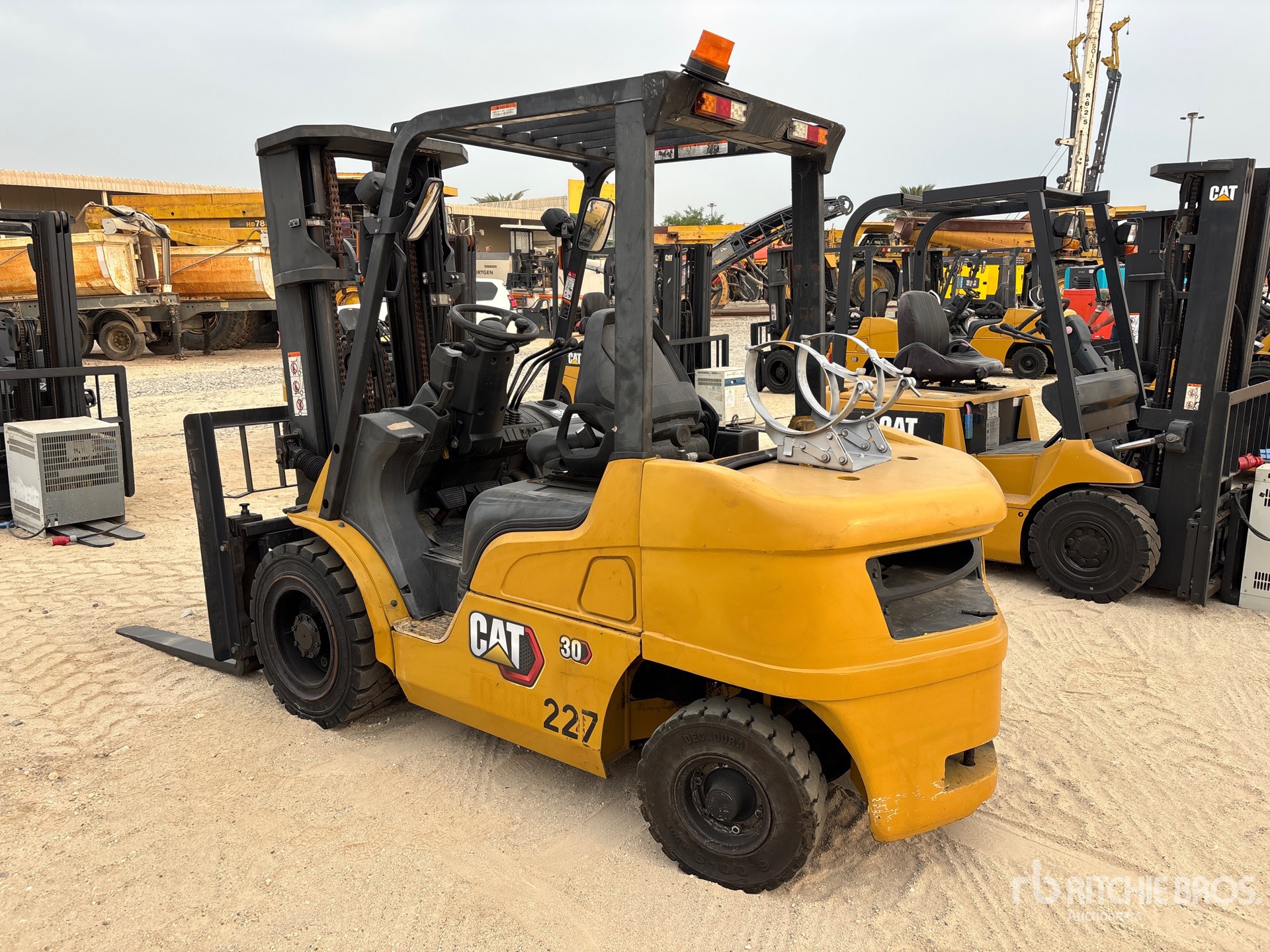 General Appearance with Zdjęcie, lewy dolny róg