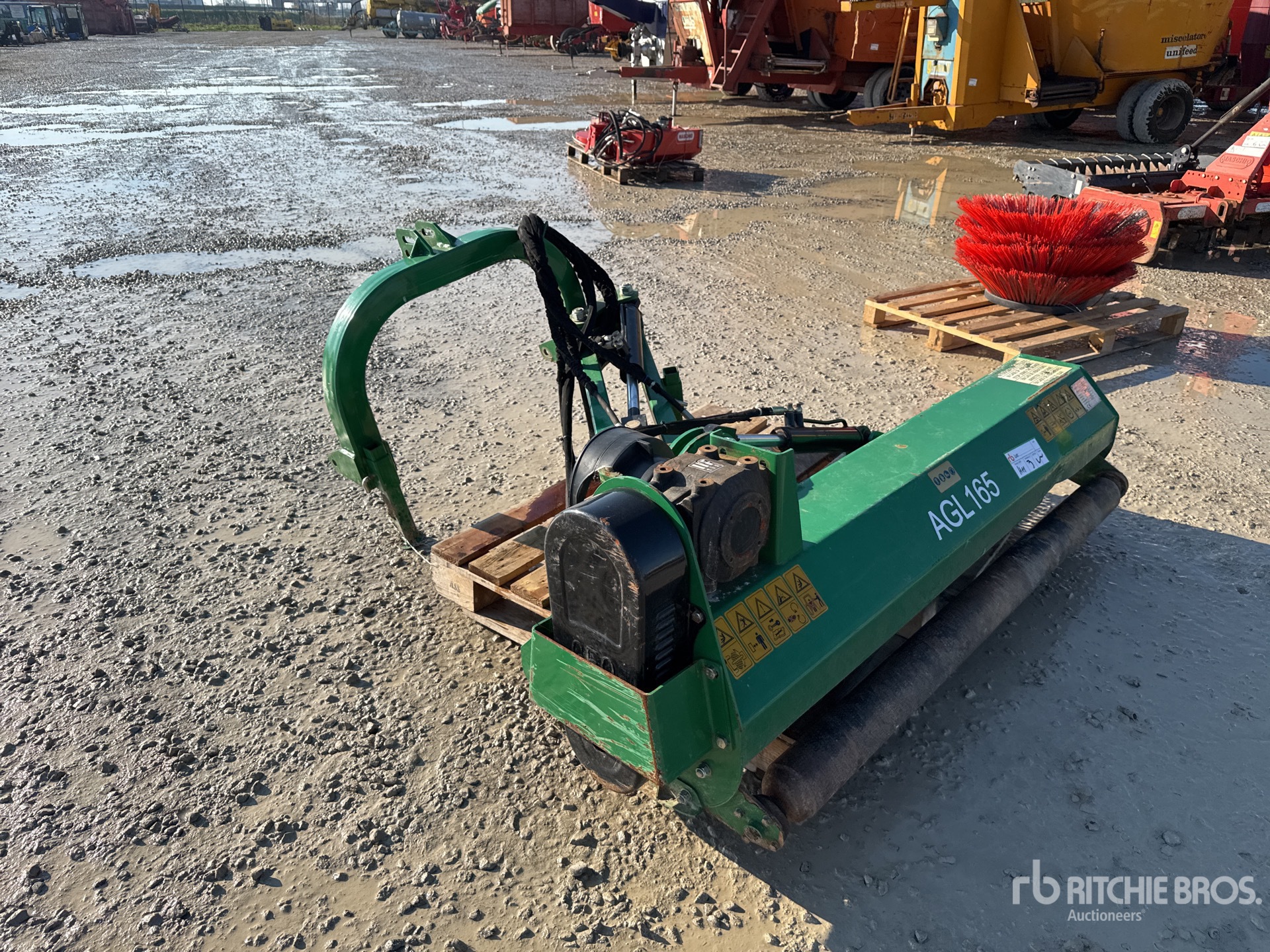 General Appearance with 