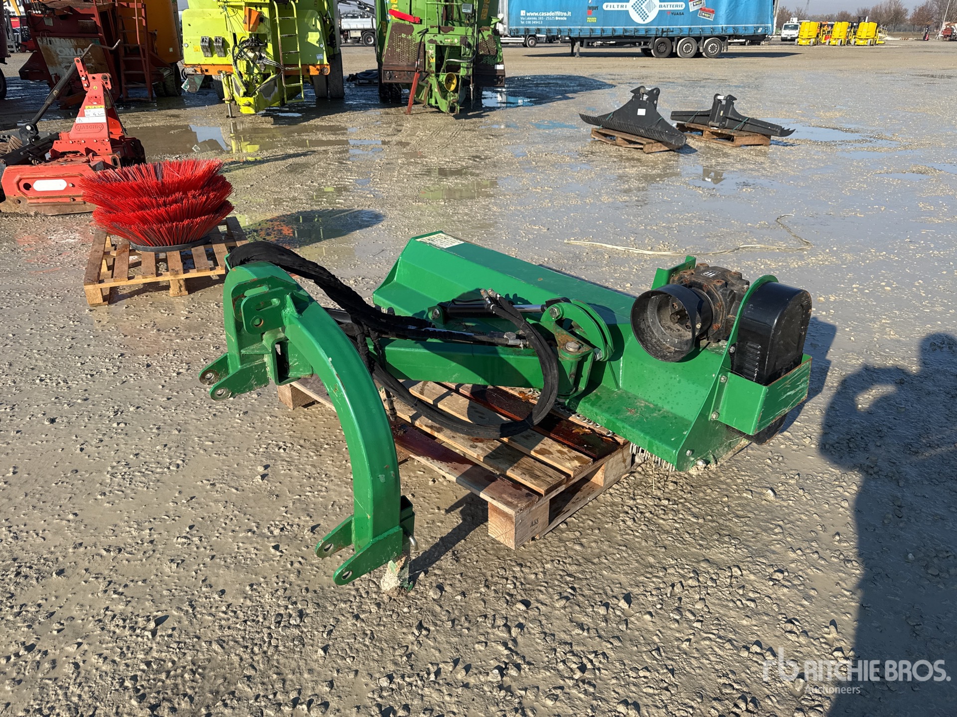 General Appearance with 