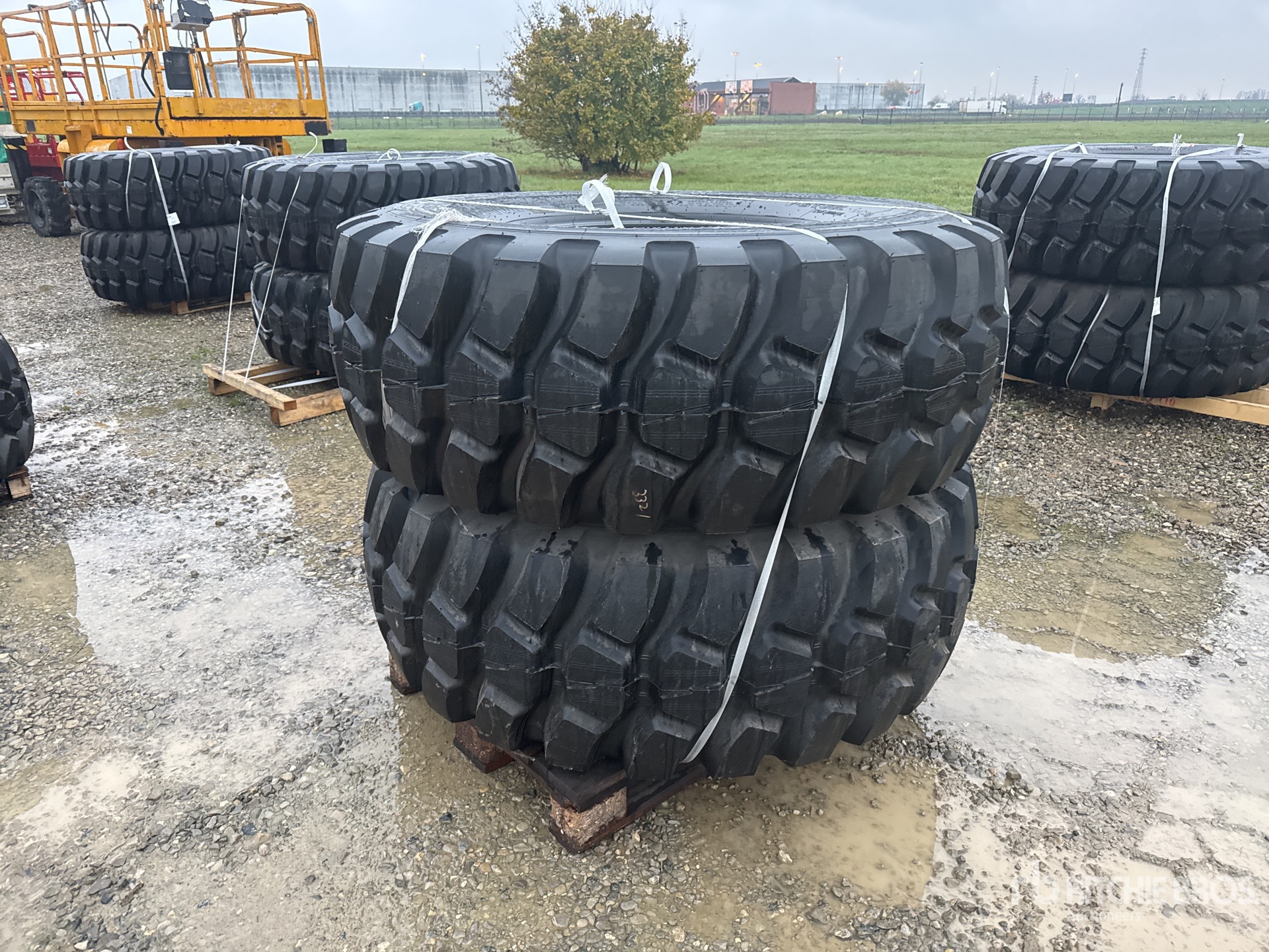 General Appearance with 