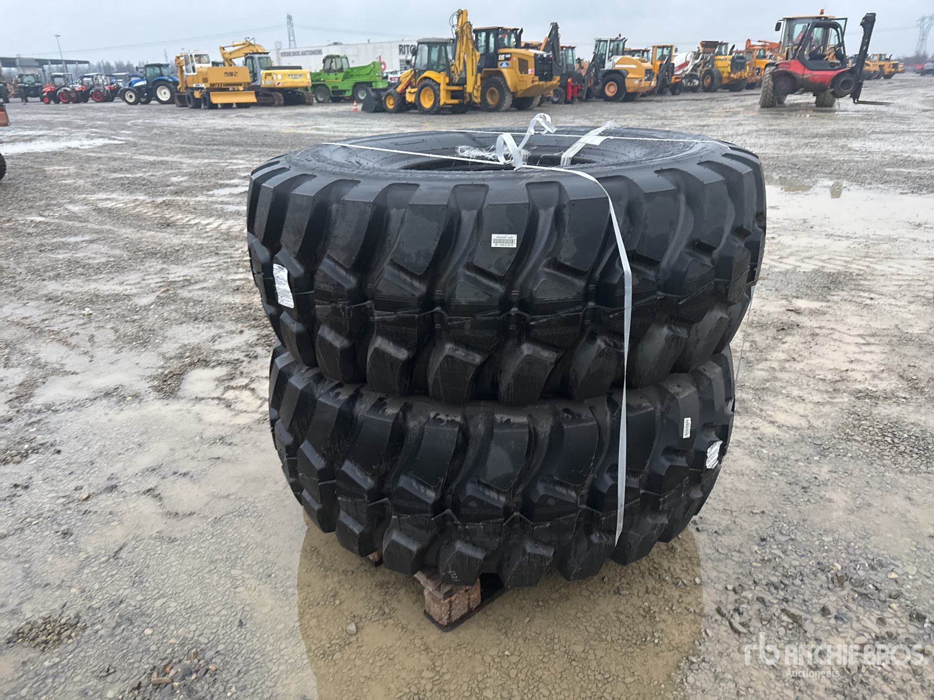 General Appearance with 