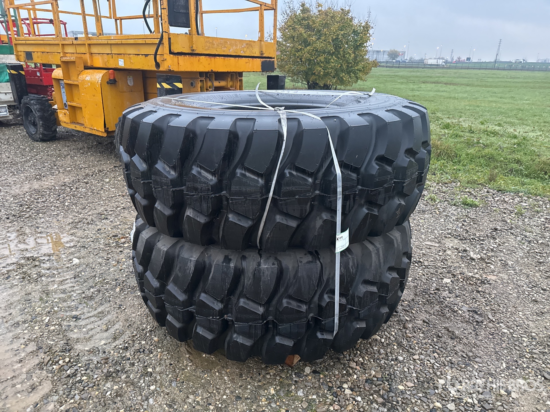 General Appearance with 