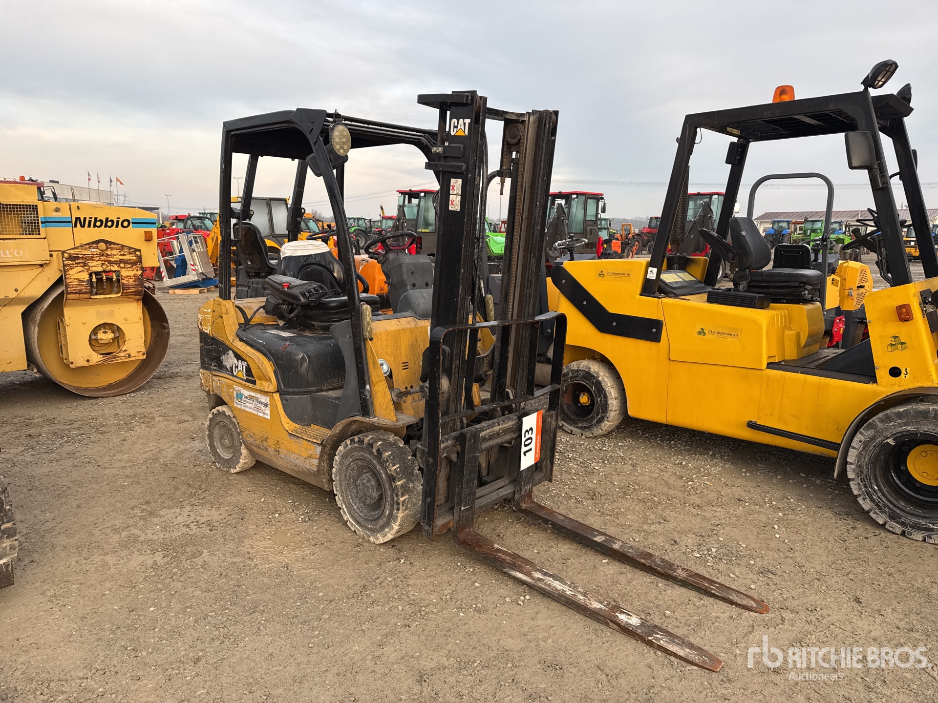 General Appearance with