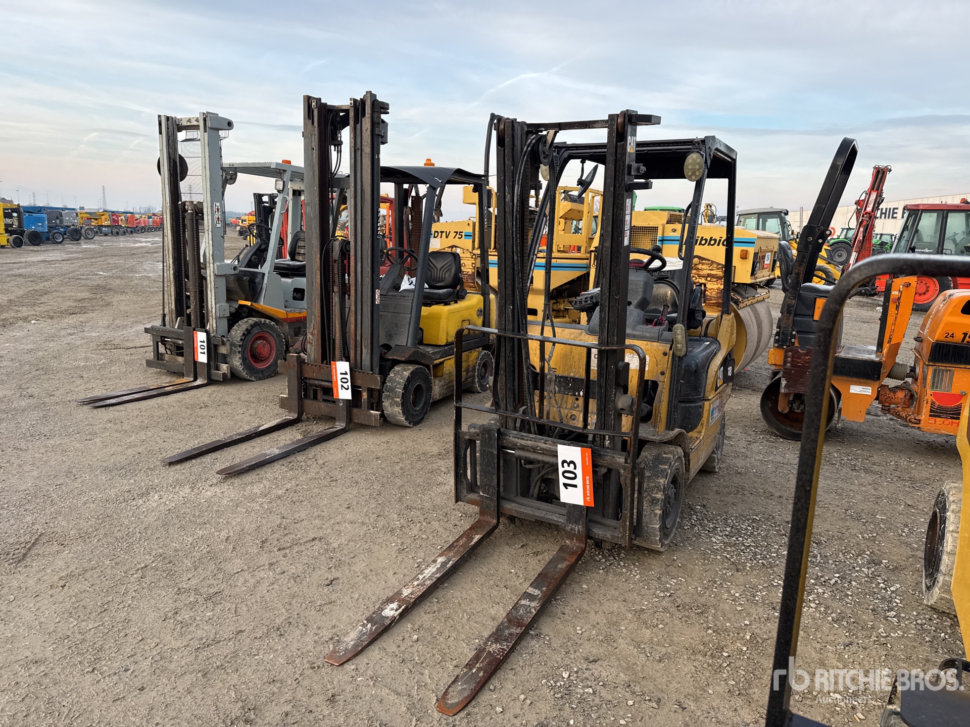 General Appearance with