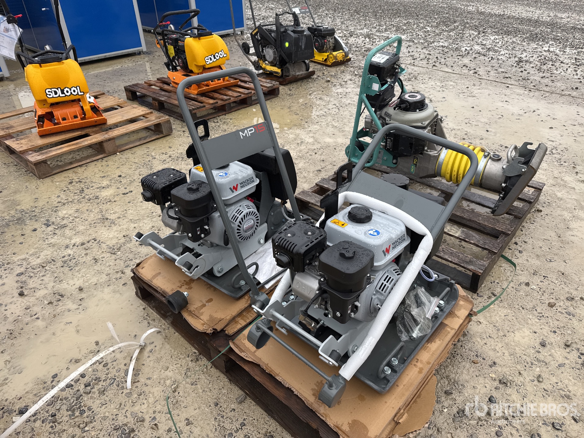 General Appearance with 