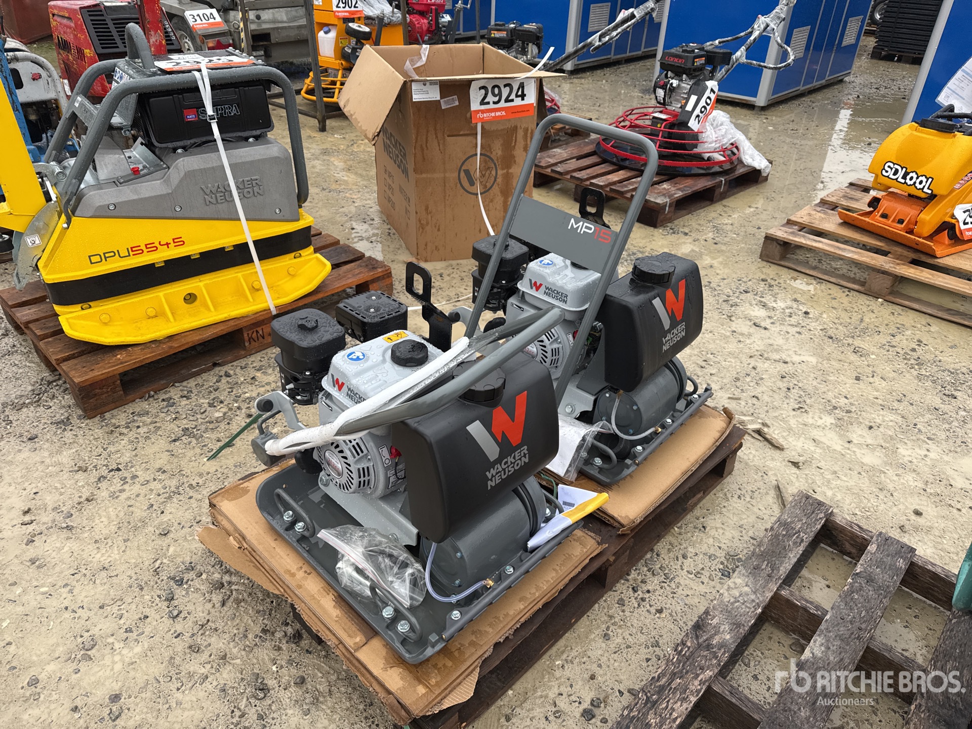 General Appearance with 