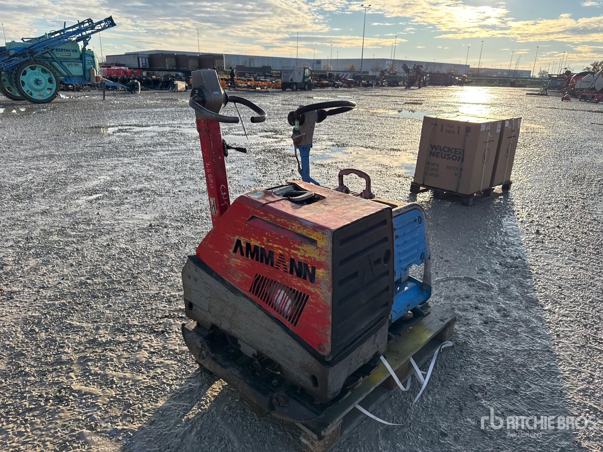 General Appearance with