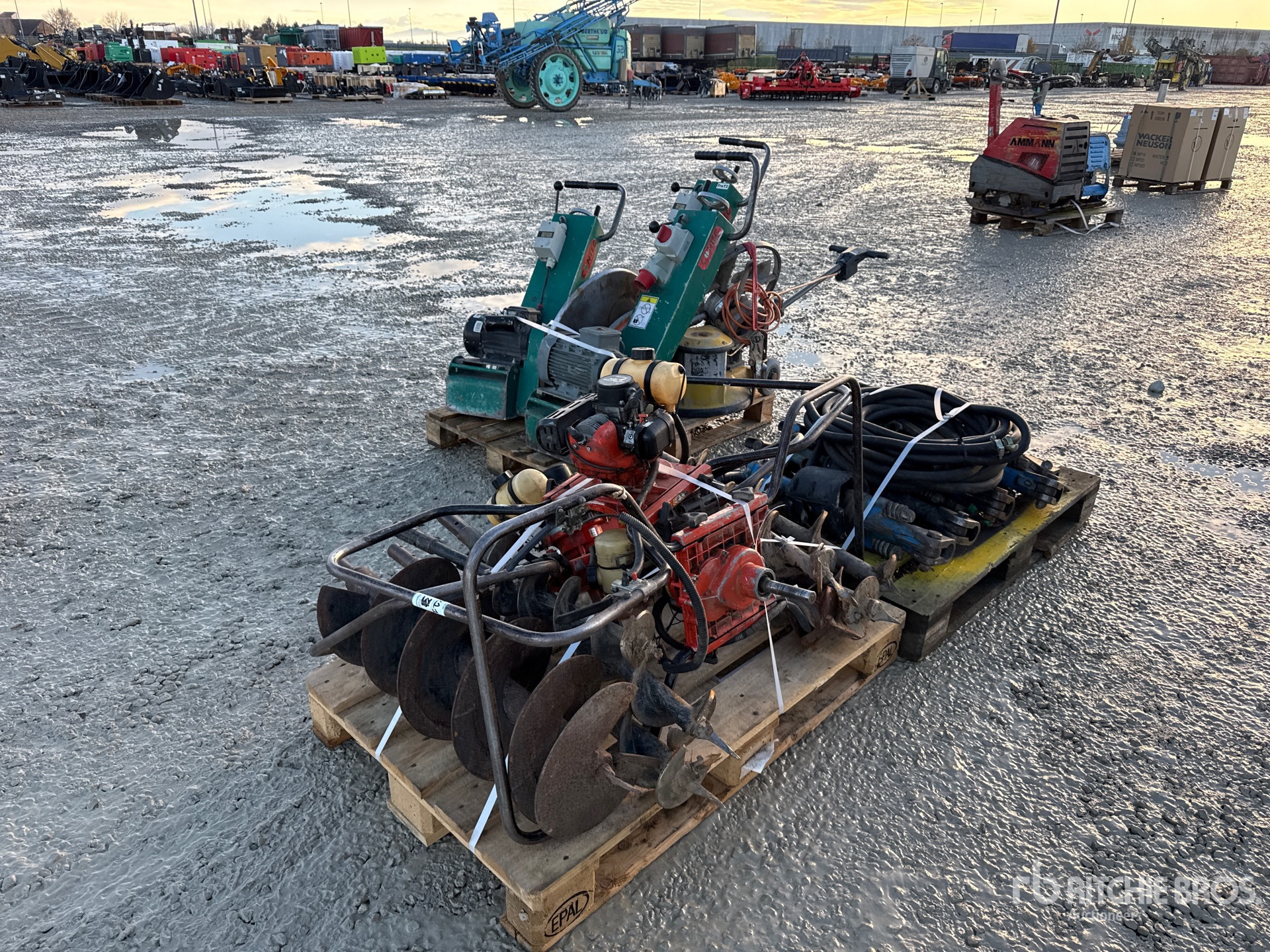 General Appearance with 