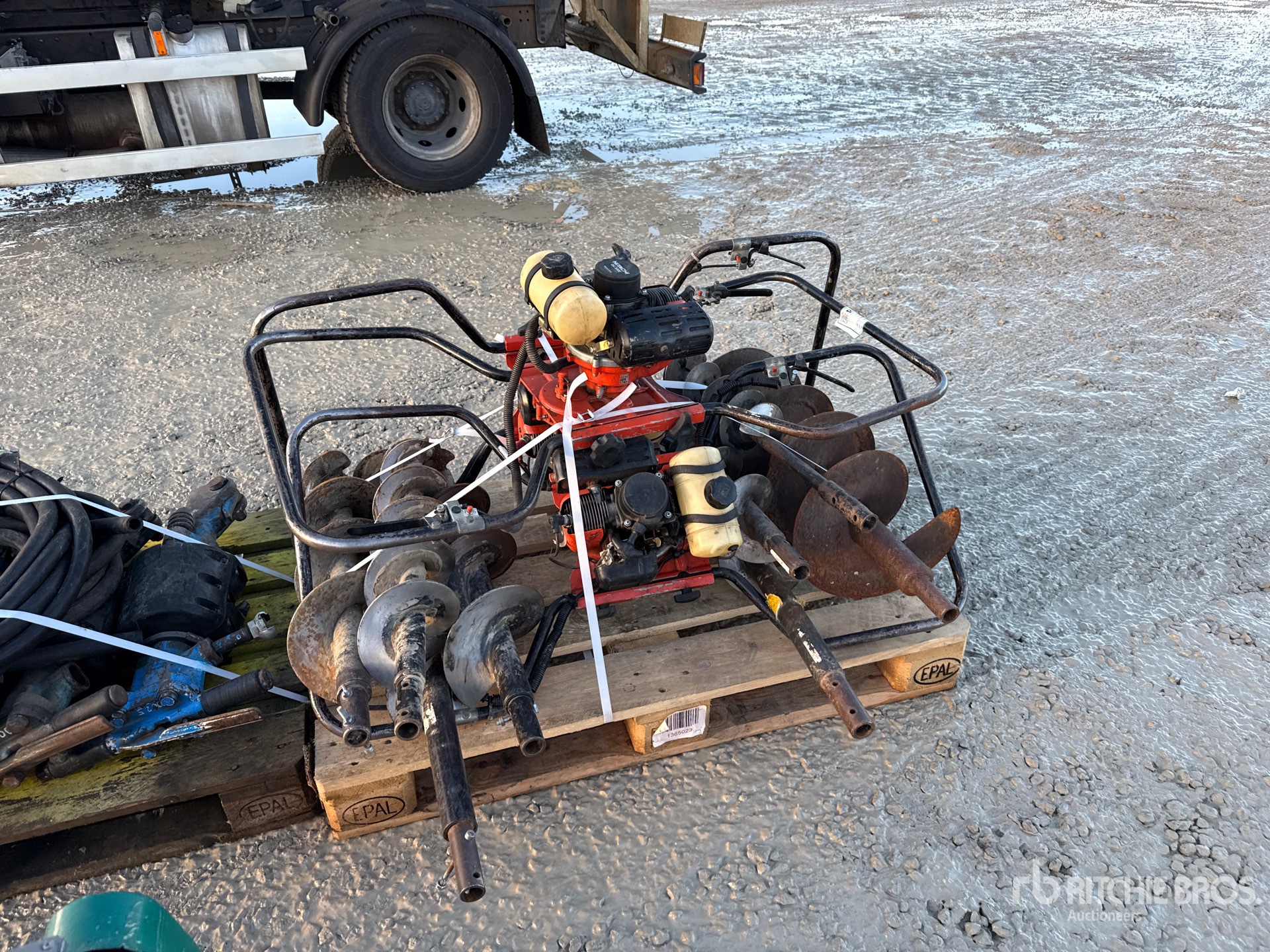 General Appearance with 