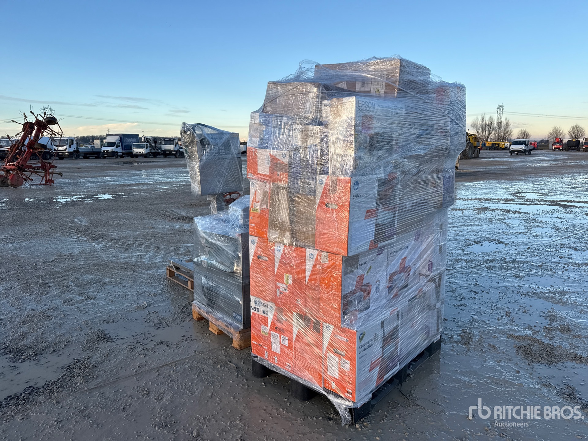 General Appearance with 