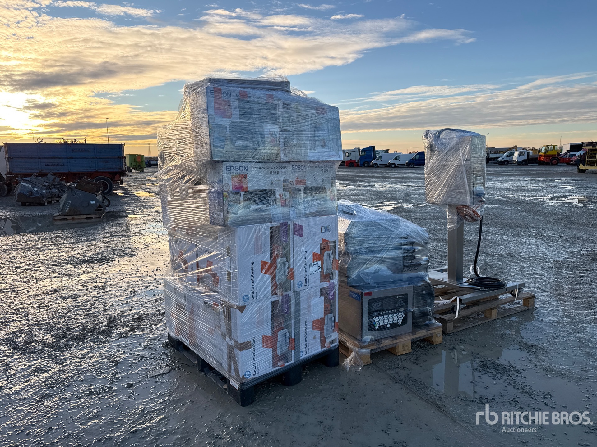 General Appearance with 