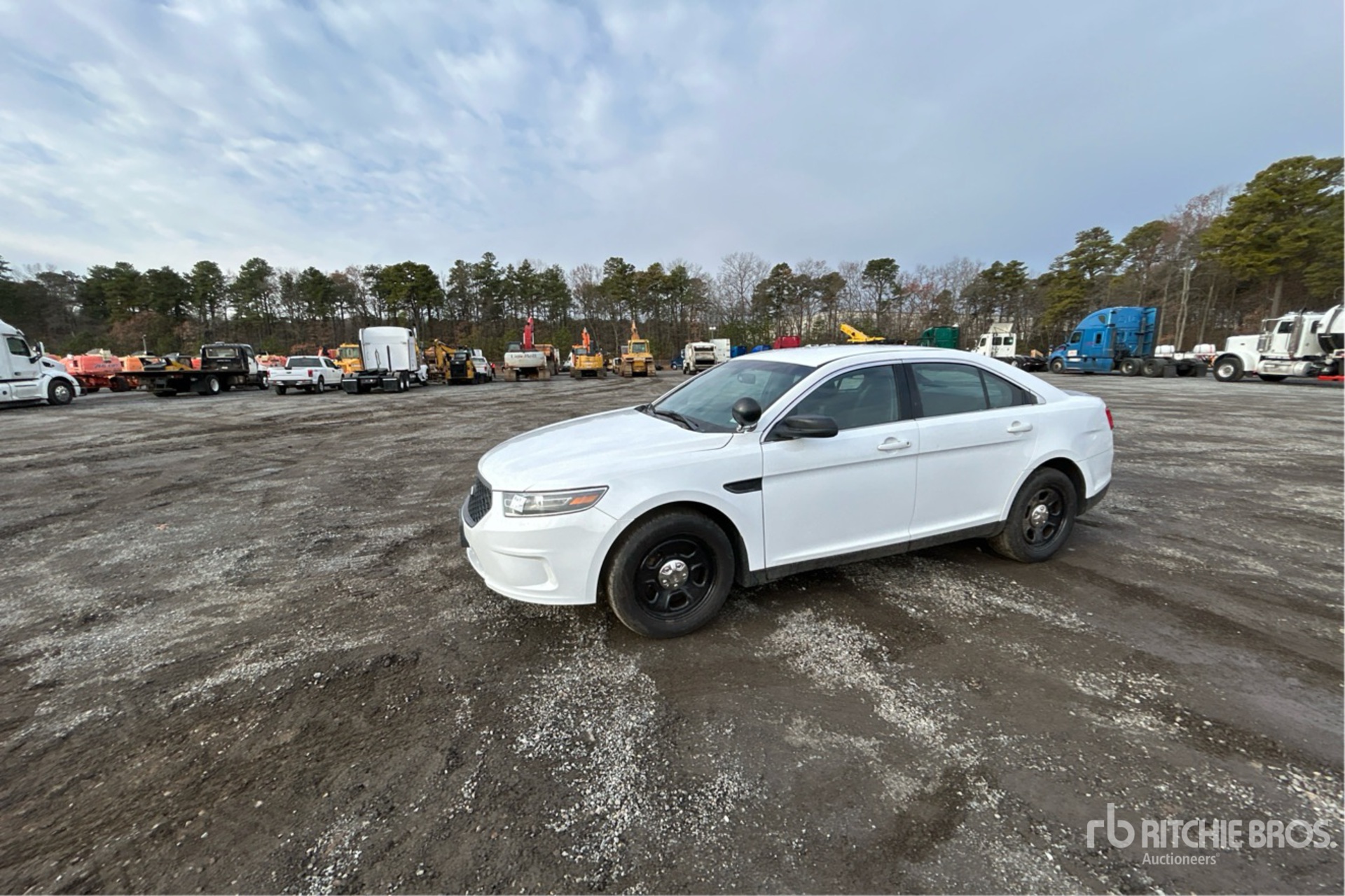 General Appearance with Spin