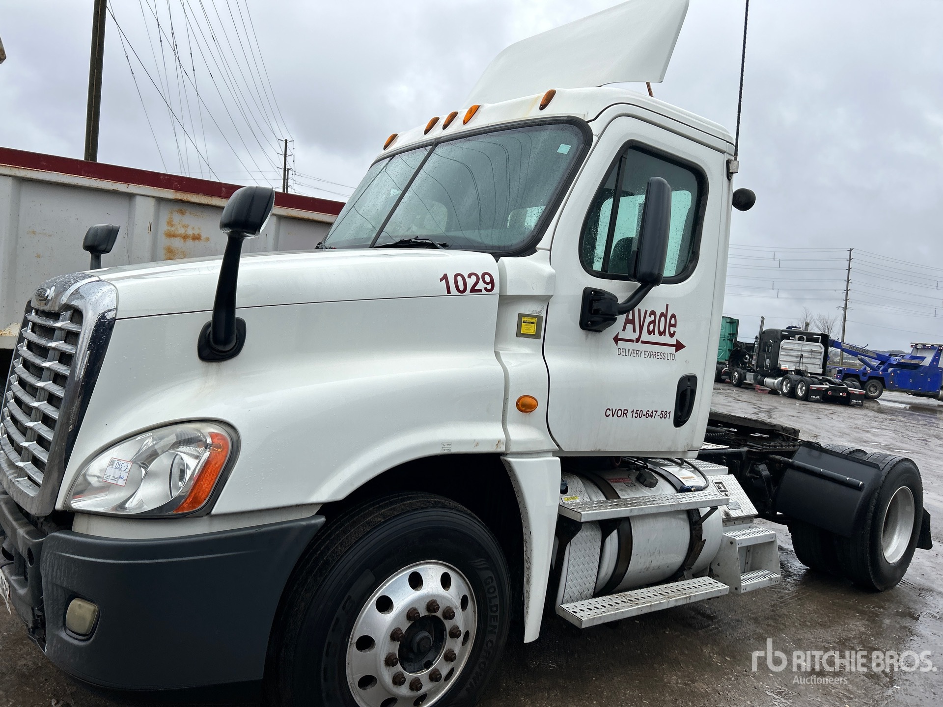 General Appearance with 