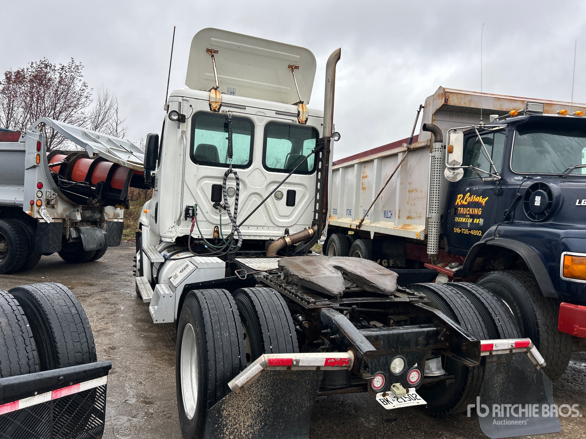 General Appearance with 