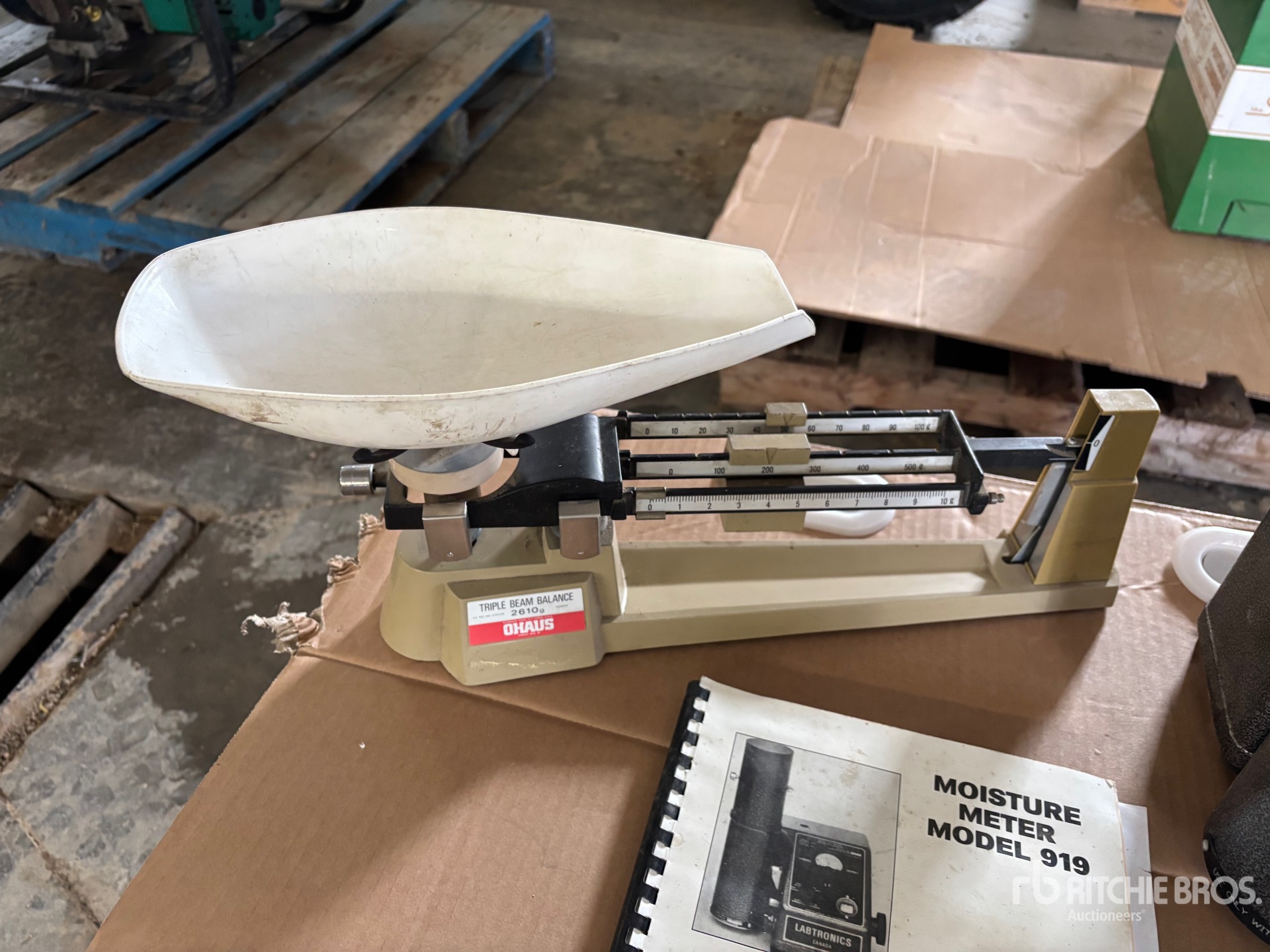 General Appearance with 